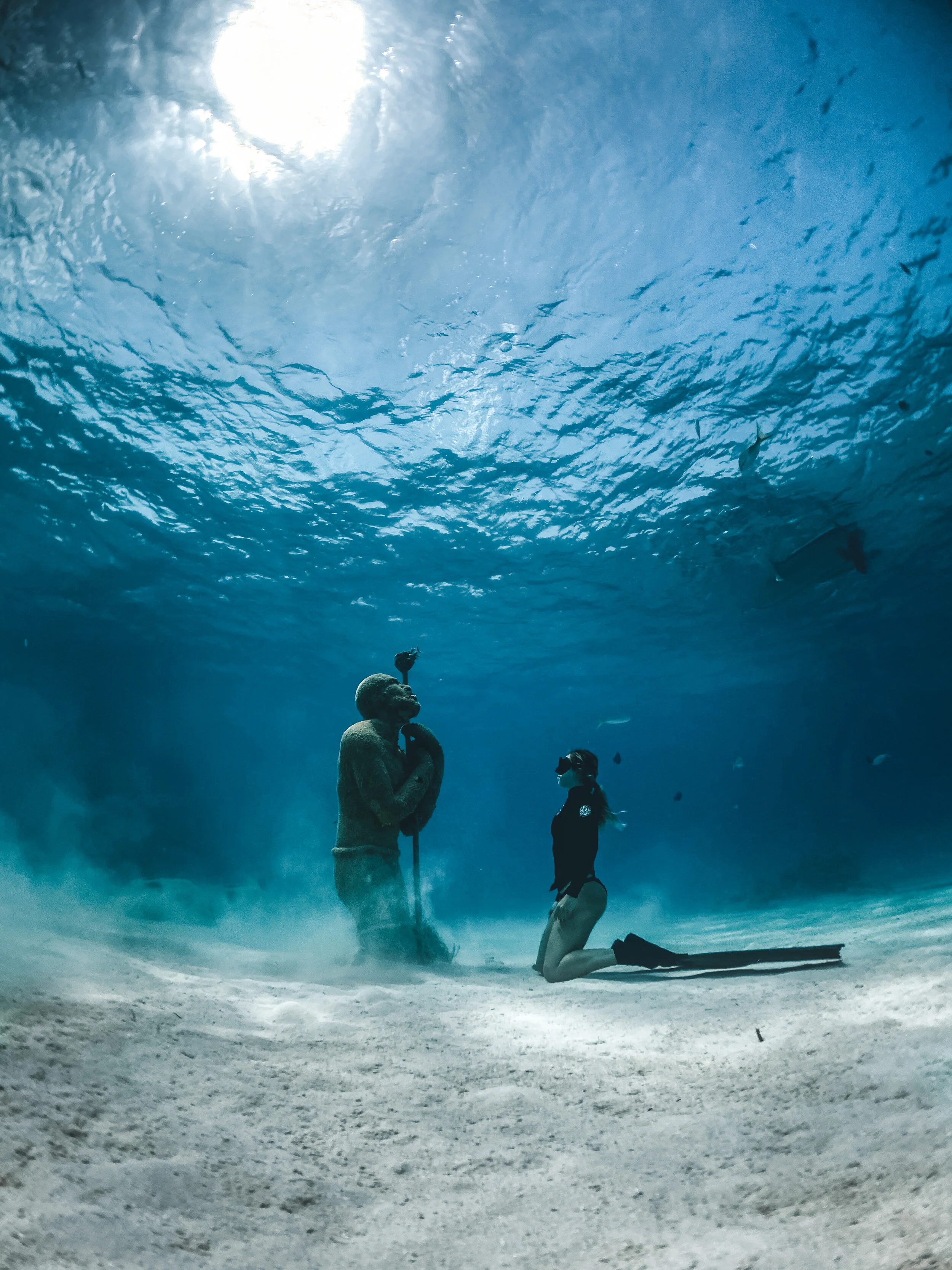  Wondering what Virtuoso Man sees in my future…  Gabriella Gerbasi | Photography | My Life in Shades of Blue  Underwater photography, scuba diving and freediving around the Caribbean. Swimming and diving with sea turtles, sharks and dolphins in the o