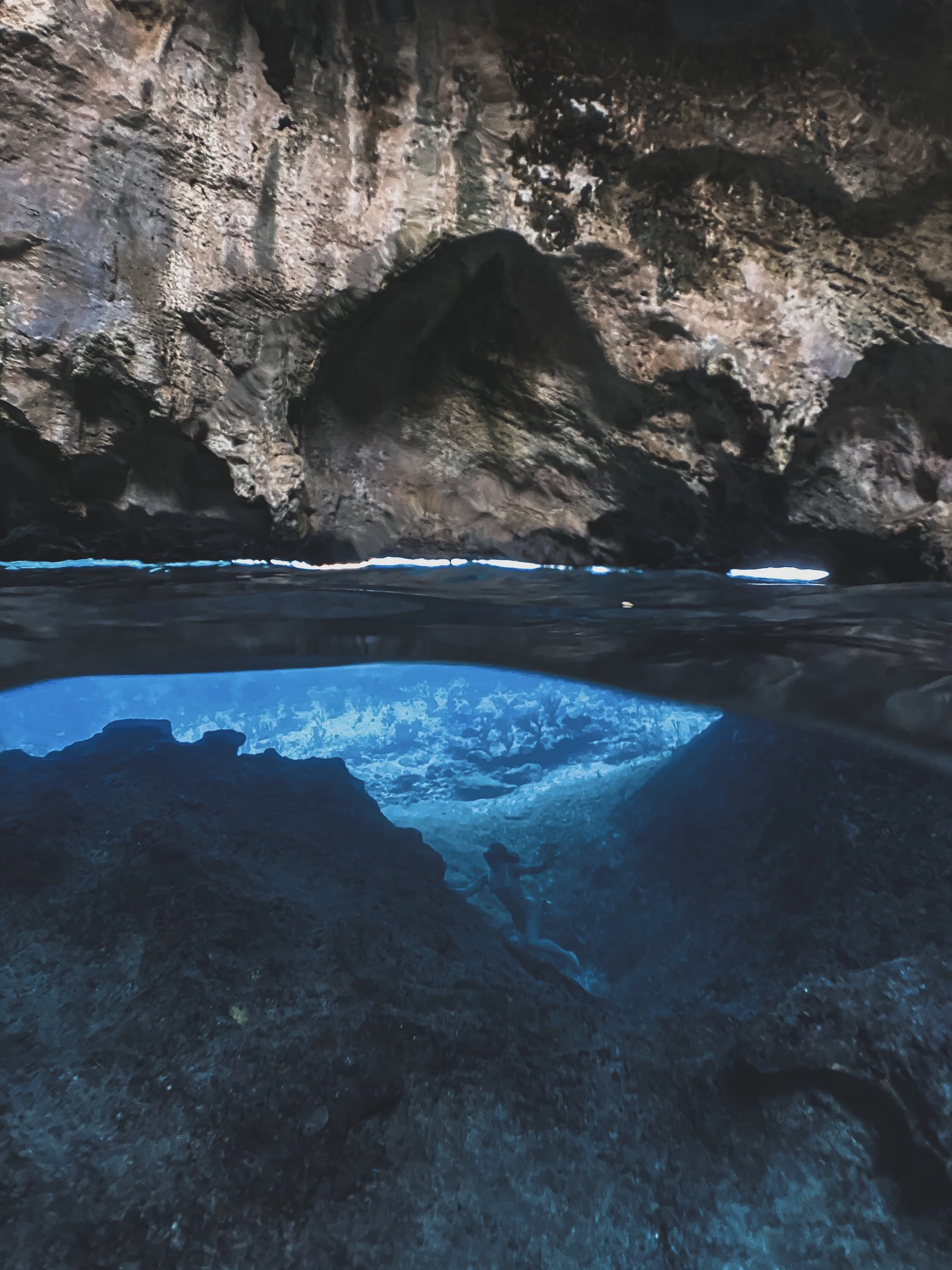  Gabriella Gerbasi | Photography | My Life in Shades of Blue  Underwater photography, scuba diving and freediving around the Caribbean. Swimming and diving with sea turtles, sharks and dolphins in the open ocean. 