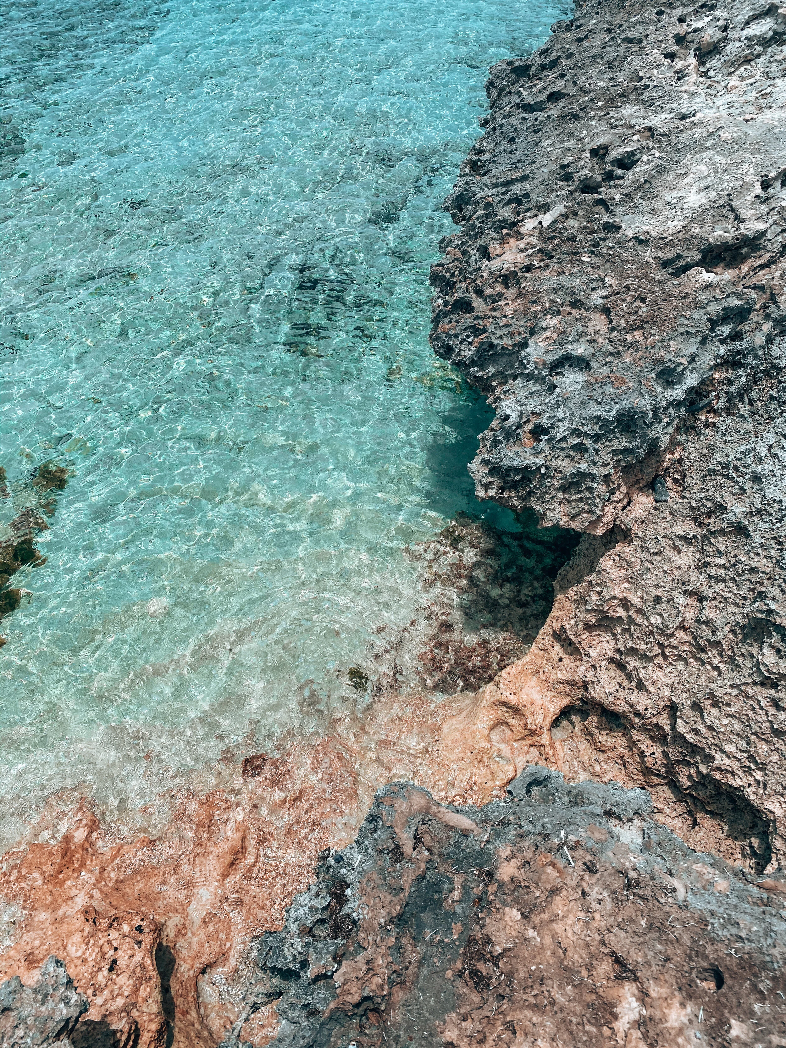  Gabriella Gerbasi | Photography | My Life in Shades of Blue  Ocean child passionate about ocean conservation and sustainability. Freediver and scuba diver capturing life, taking pictures of beautiful places and the people I love.&nbsp; 