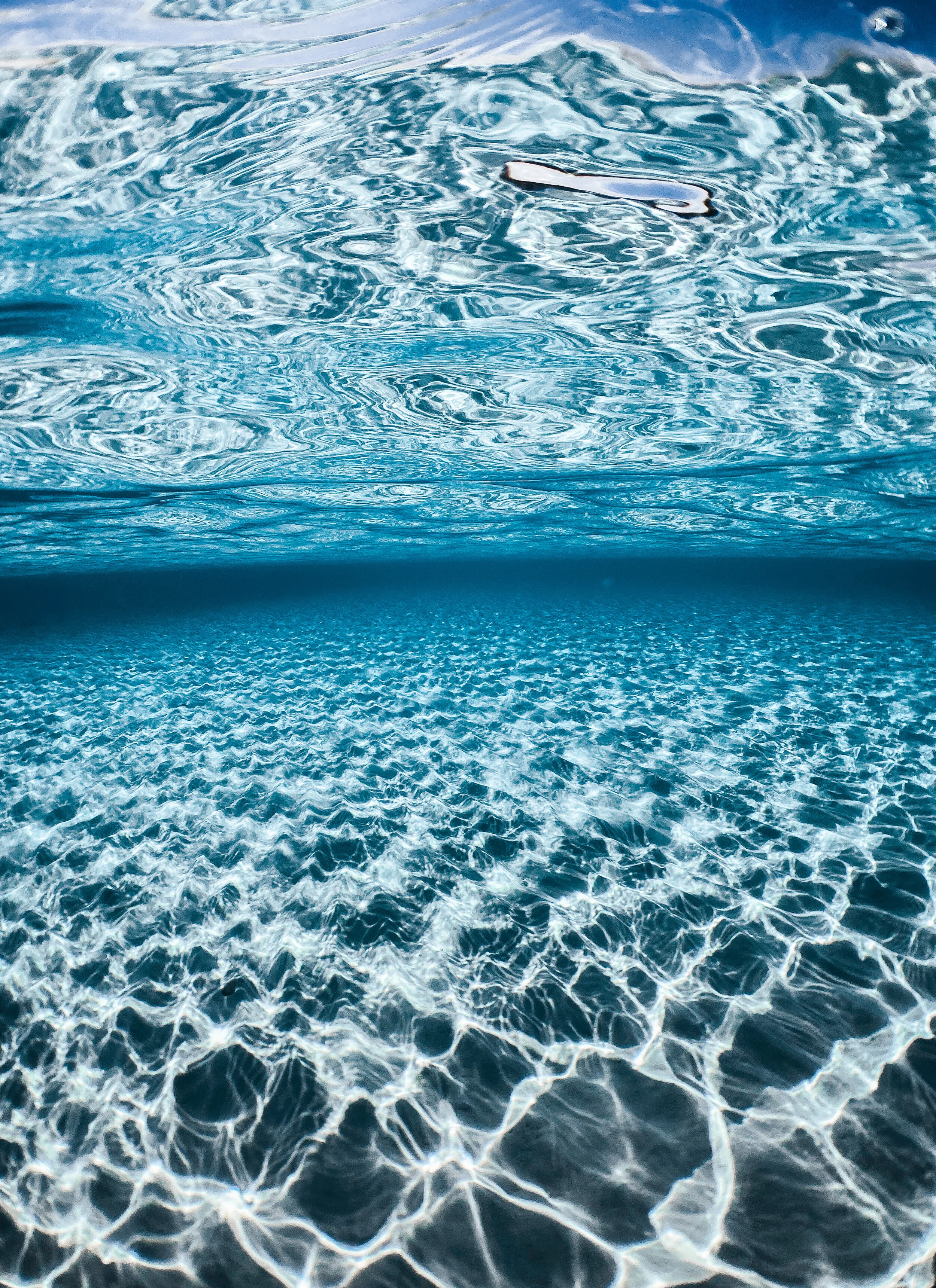  Gabriella Gerbasi | Photography | My Life in Shades of Blue   Ocean child passionate about ocean conservation and sustainability. Freediver and scuba diver capturing life, taking pictures of beautiful places and the people I love.&nbsp; 