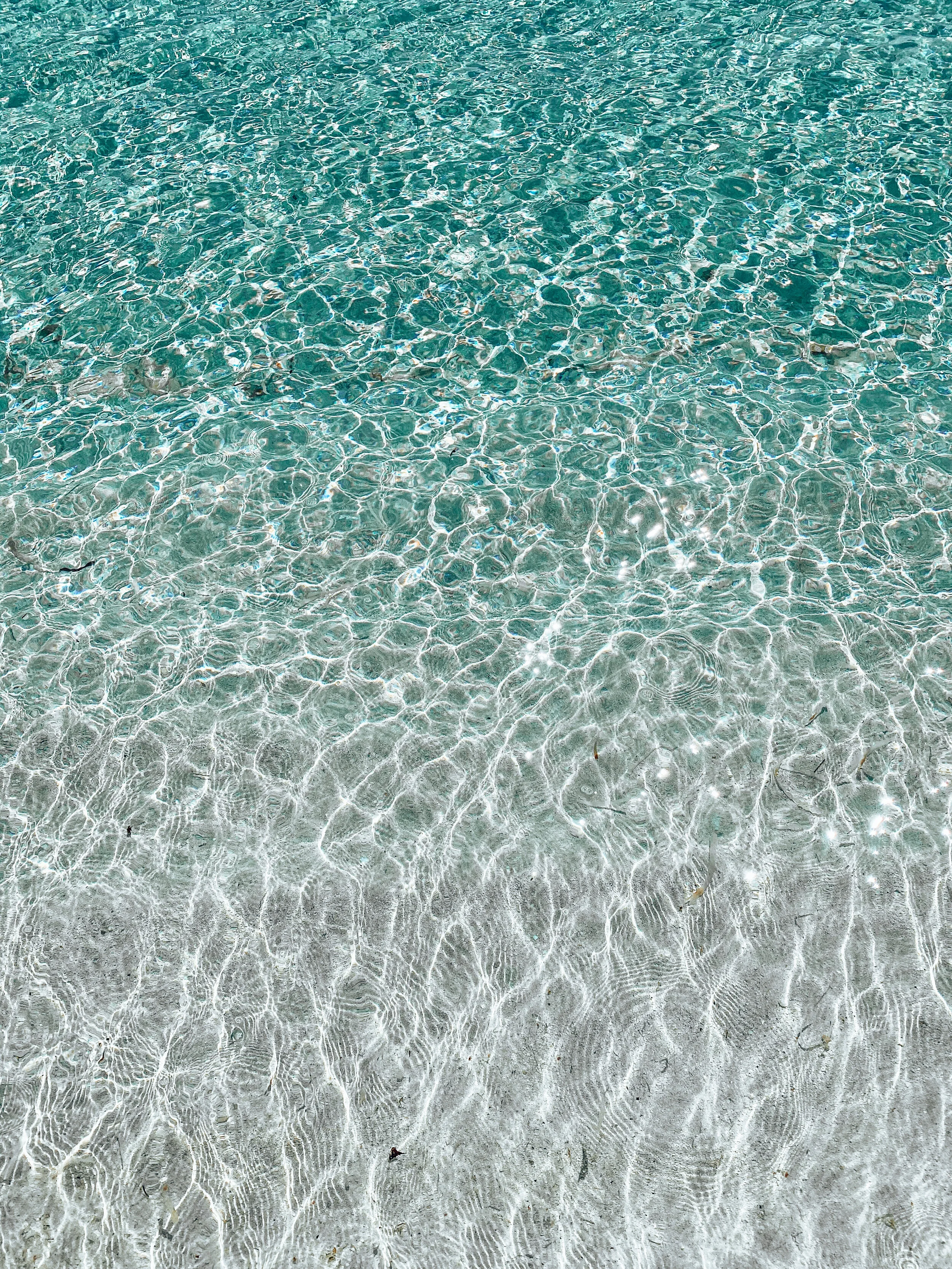  Gabriella Gerbasi | Photography | My Life in Shades of Blue  Ocean child passionate about ocean conservation and sustainability. Freediver and scuba diver capturing life, taking pictures of beautiful places and the people I love.&nbsp; 