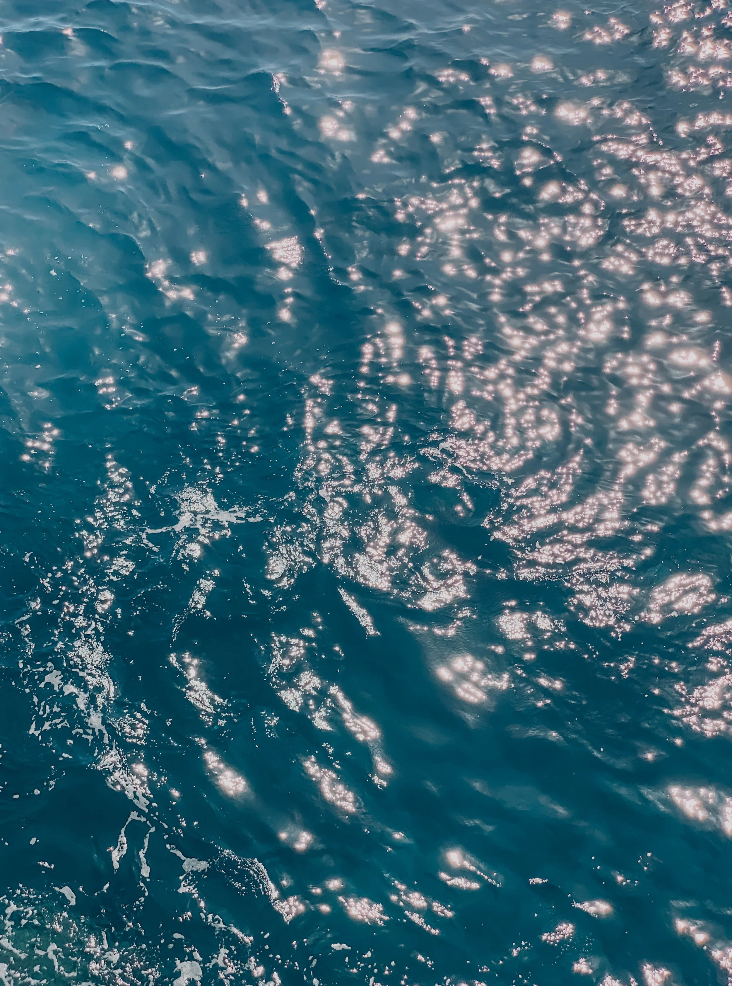  Gabriella Gerbasi | Photography | My Life in Shades of Blue  Ocean child passionate about ocean conservation and sustainability. Freediver and scuba diver capturing life, taking pictures of beautiful places and the people I love.&nbsp; 