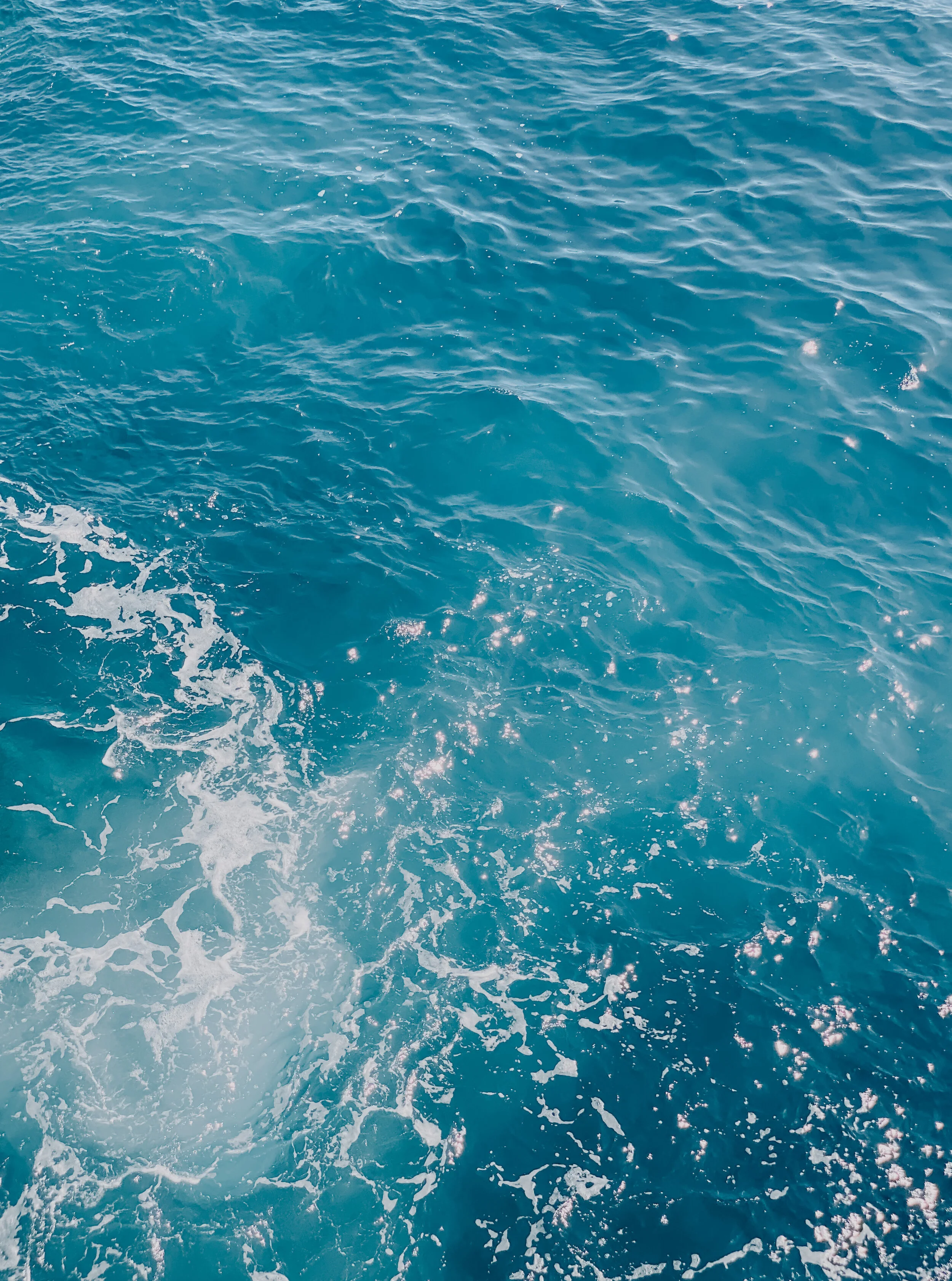  Gabriella Gerbasi | Photography | My Life in Shades of Blue  Ocean child passionate about ocean conservation and sustainability. Freediver and scuba diver capturing life, taking pictures of beautiful places and the people I love.&nbsp; 