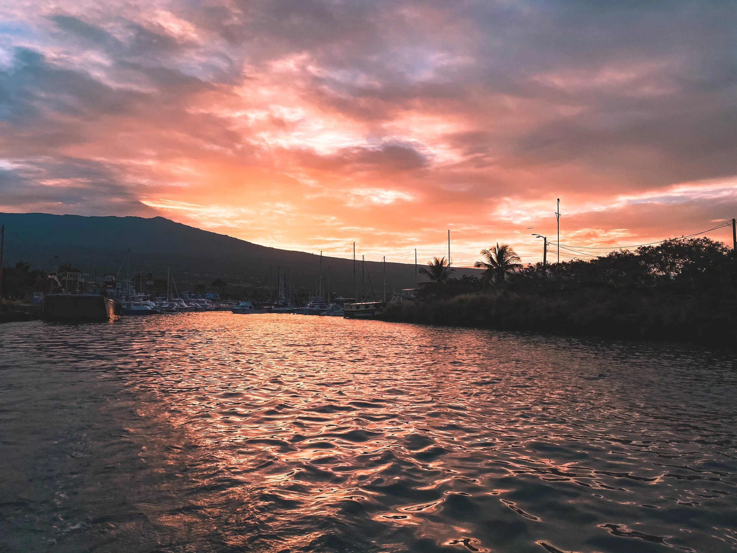  Gabriella Gerbasi | Photography | My Life in Shades of Blue  Ocean child passionate about ocean conservation and sustainability. Freediver and scuba diver capturing life, taking pictures of beautiful places and the people I love.&nbsp; 