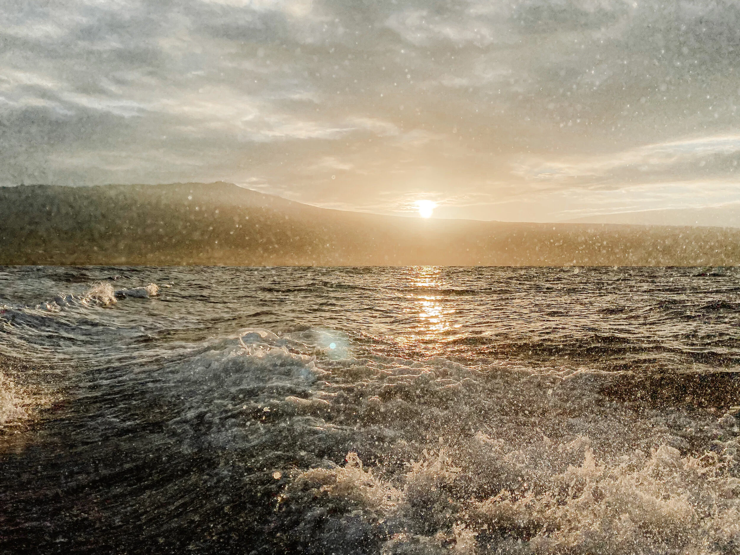  Gabriella Gerbasi | Photography | My Life in Shades of Blue  Ocean child passionate about ocean conservation and sustainability. Freediver and scuba diver capturing life, taking pictures of beautiful places and the people I love.&nbsp; 