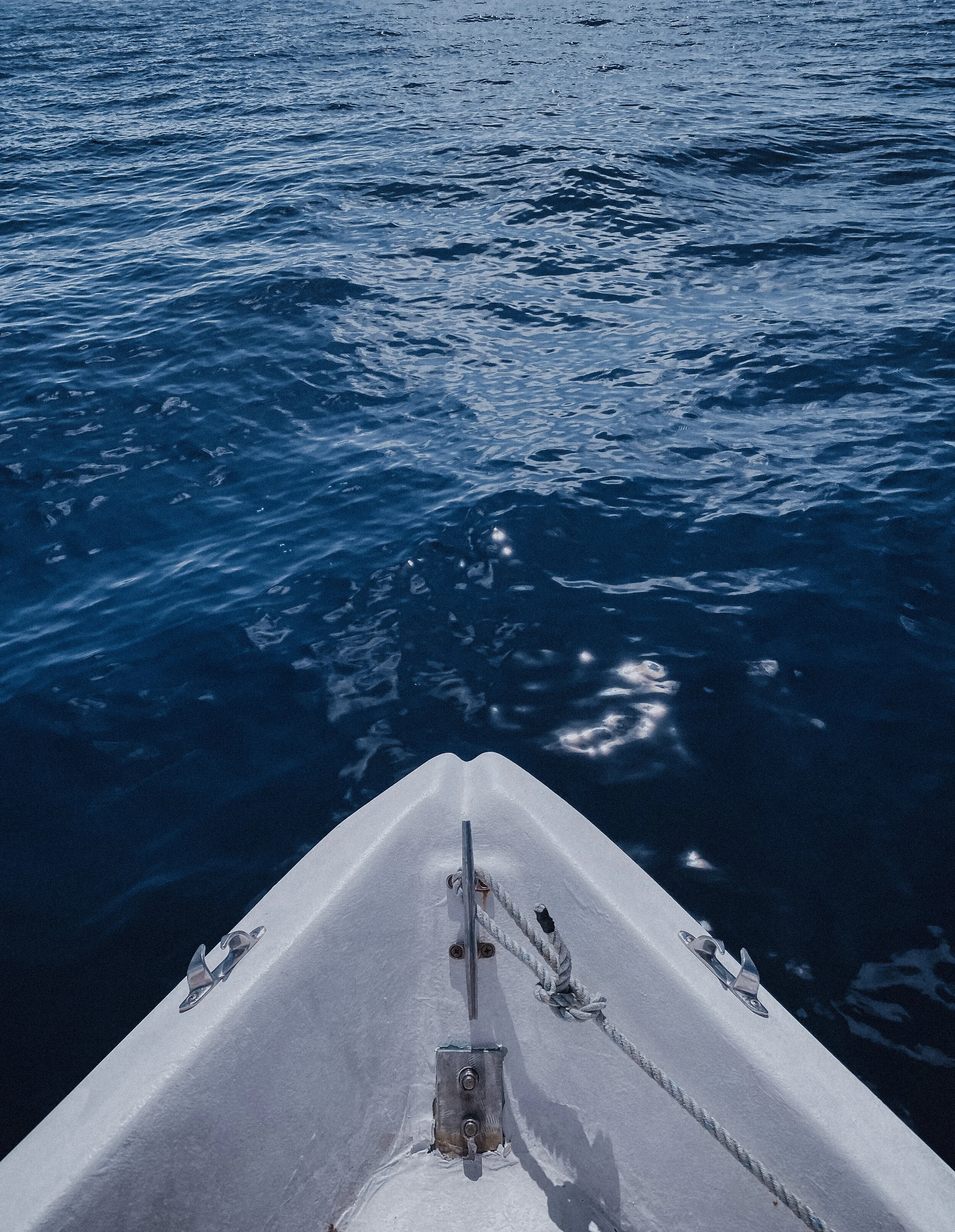  Gabriella Gerbasi | Photography | My Life in Shades of Blue  Ocean child passionate about ocean conservation and sustainability. Freediver and scuba diver capturing life, taking pictures of beautiful places and the people I love.&nbsp; 