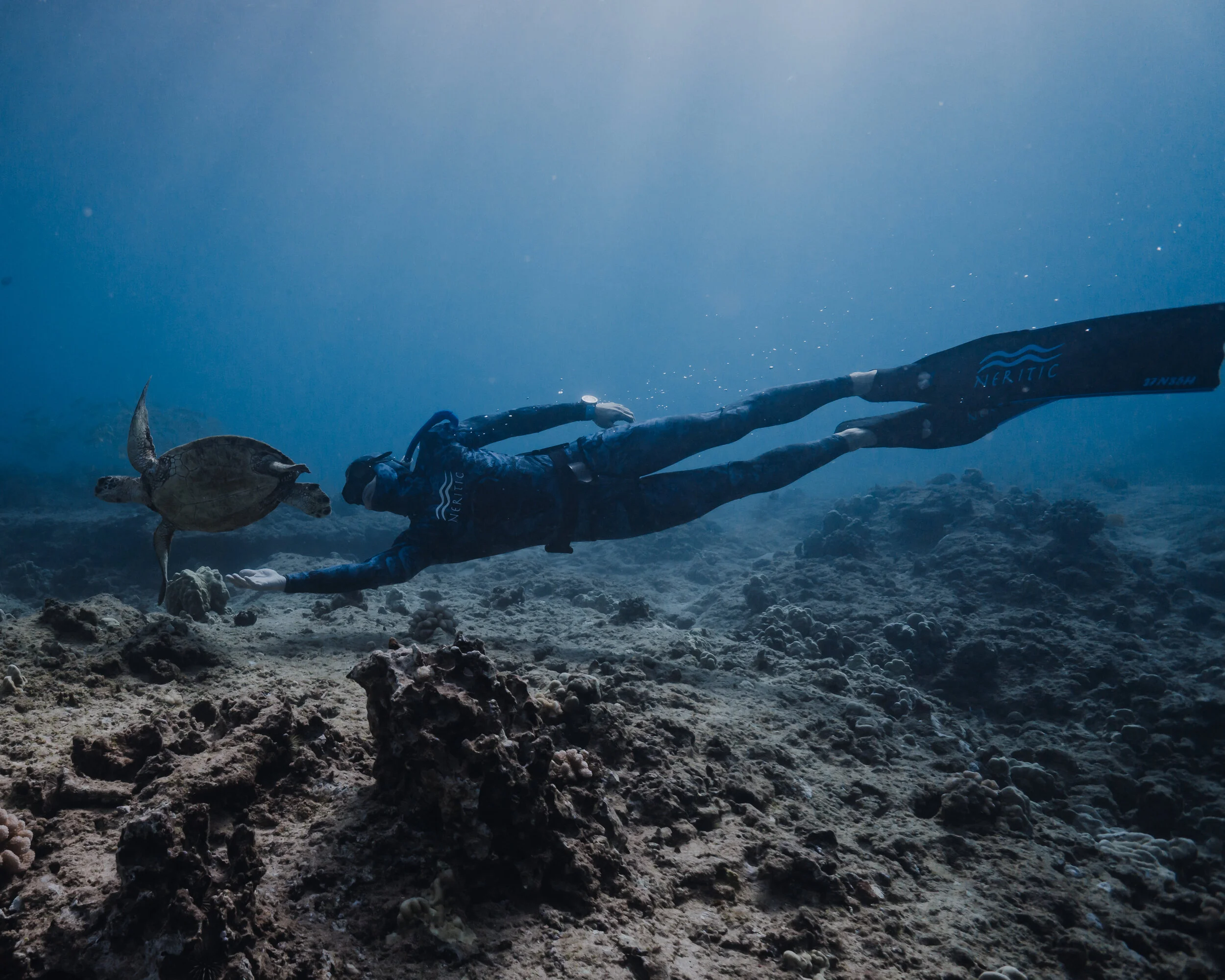  Gabriella Gerbasi | Photography | My Life in Shades of Blue  Underwater photography, scuba diving and freediving around the Caribbean. Swimming and diving with sea turtles, sharks and dolphins in the open ocean. 