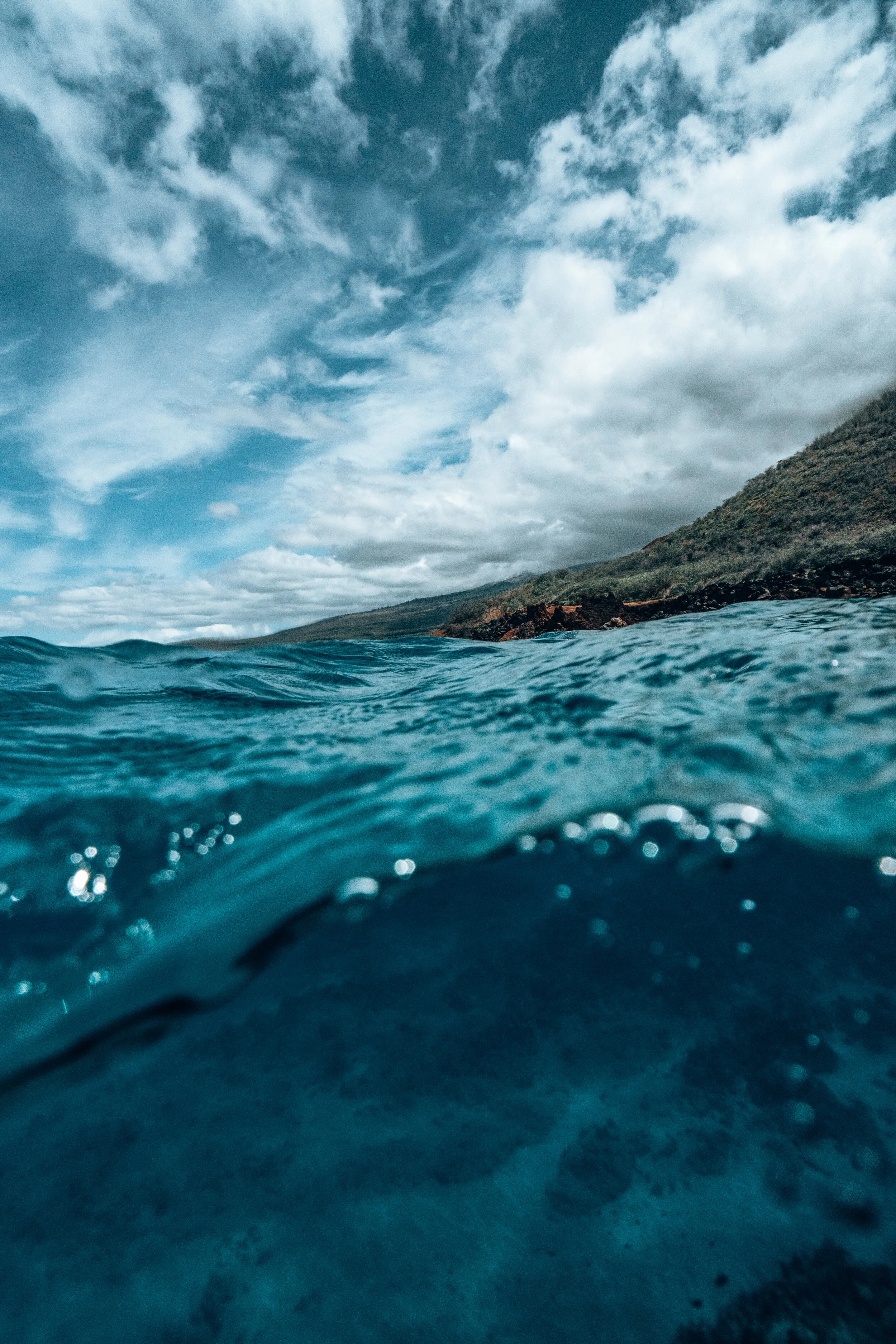  Gabriella Gerbasi | Photography | My Life in Shades of Blue  Underwater photography, scuba diving and freediving around the Caribbean. Swimming and diving with sea turtles, sharks and dolphins in the open ocean. 