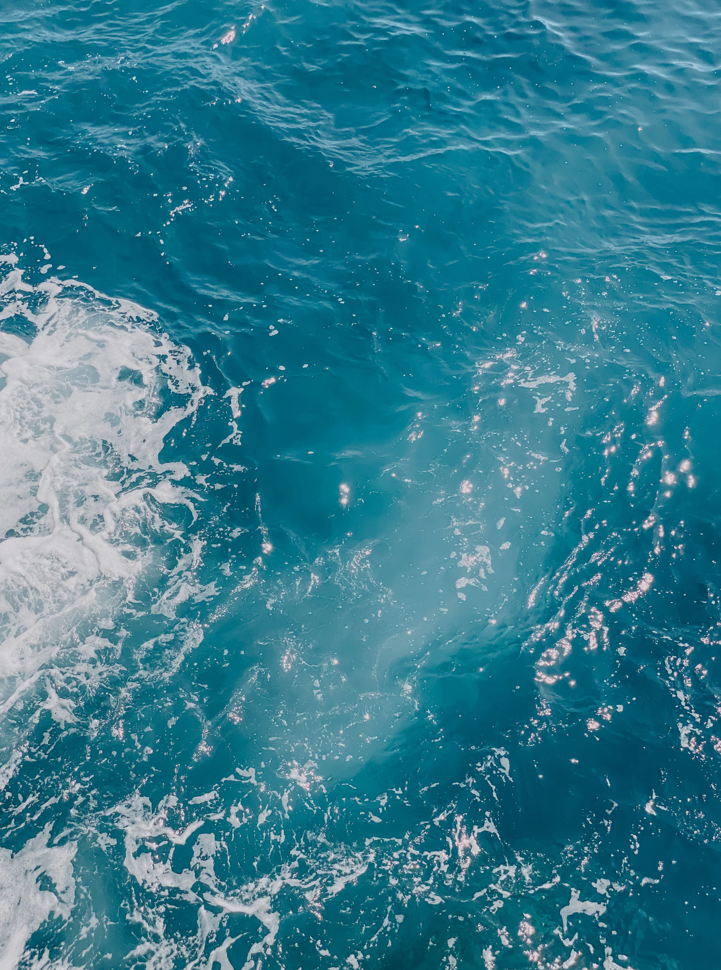  Gabriella Gerbasi | Photography | My Life in Shades of Blue  Ocean child passionate about ocean conservation and sustainability. Freediver and scuba diver capturing life, taking pictures of beautiful places and the people I love.&nbsp; 