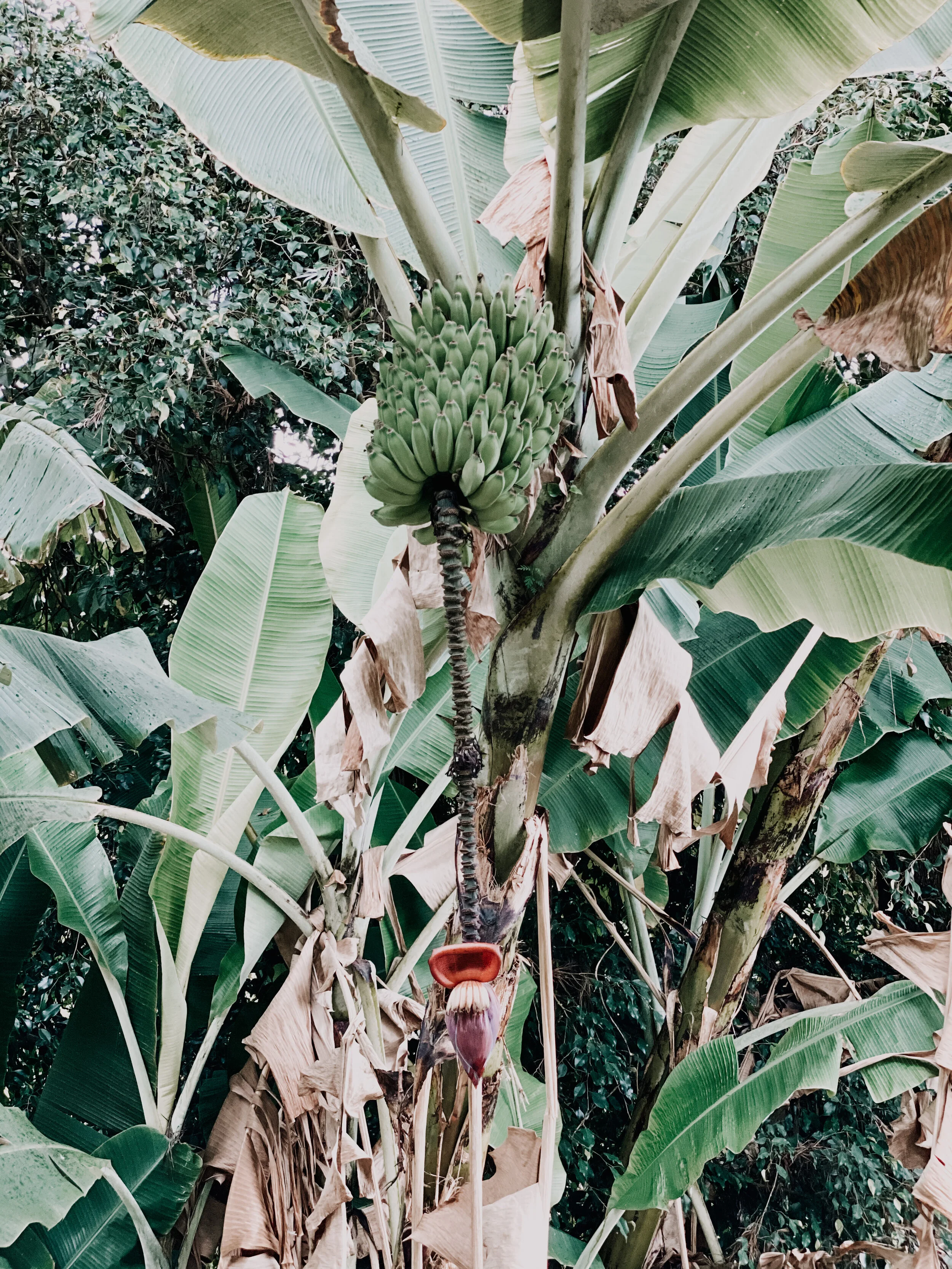  Gabriella Gerbasi | Photography | My Life in Shades of Blue  Ocean child passionate about ocean conservation and sustainability. Freediver and scuba diver capturing life, taking pictures of beautiful places and the people I love.&nbsp; 
