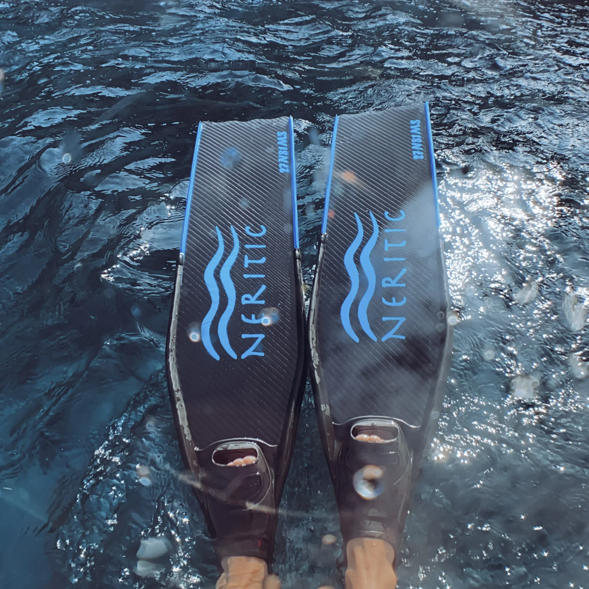 fins 2.jpg