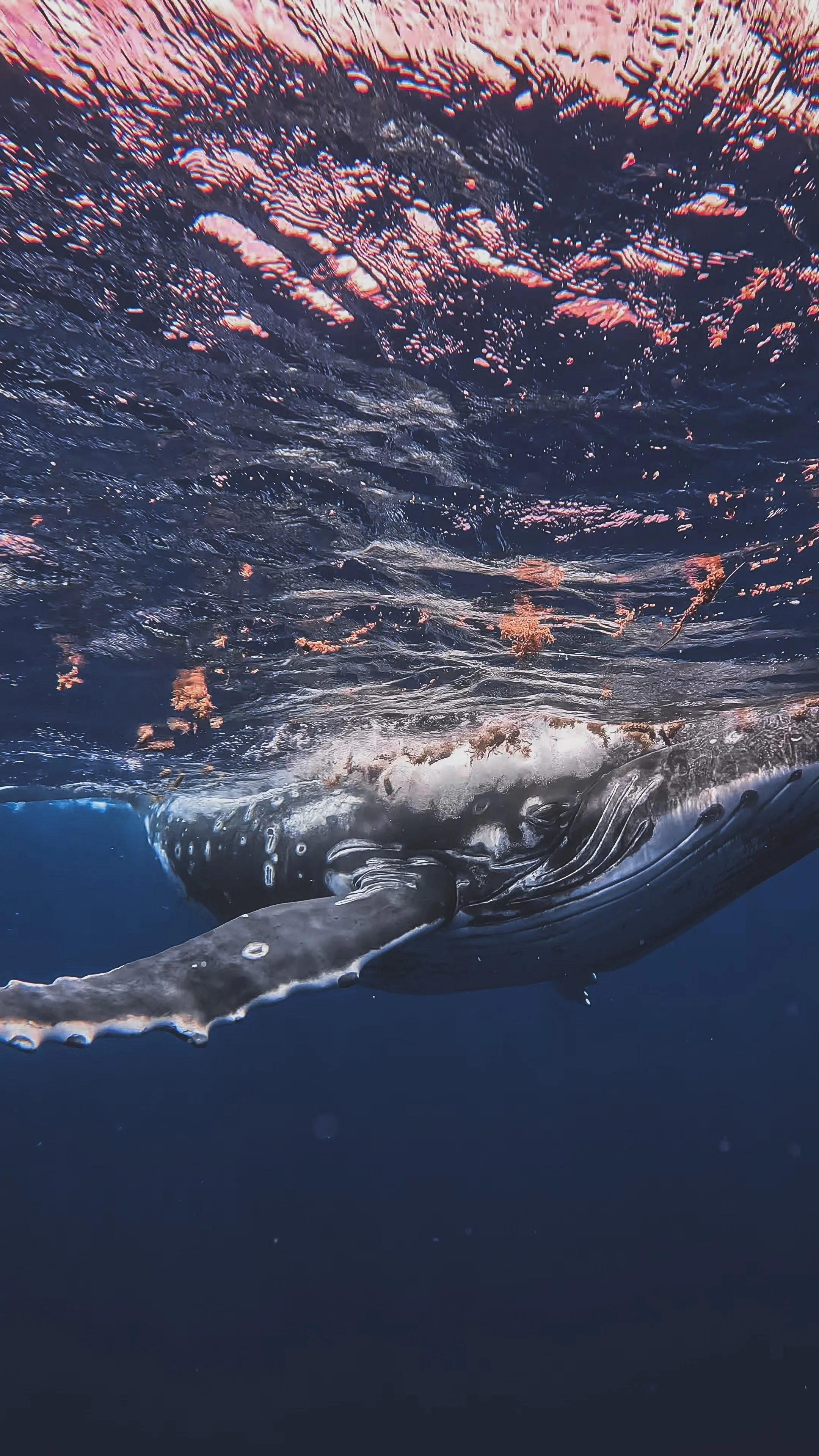 GPTempDownload 6.JPG