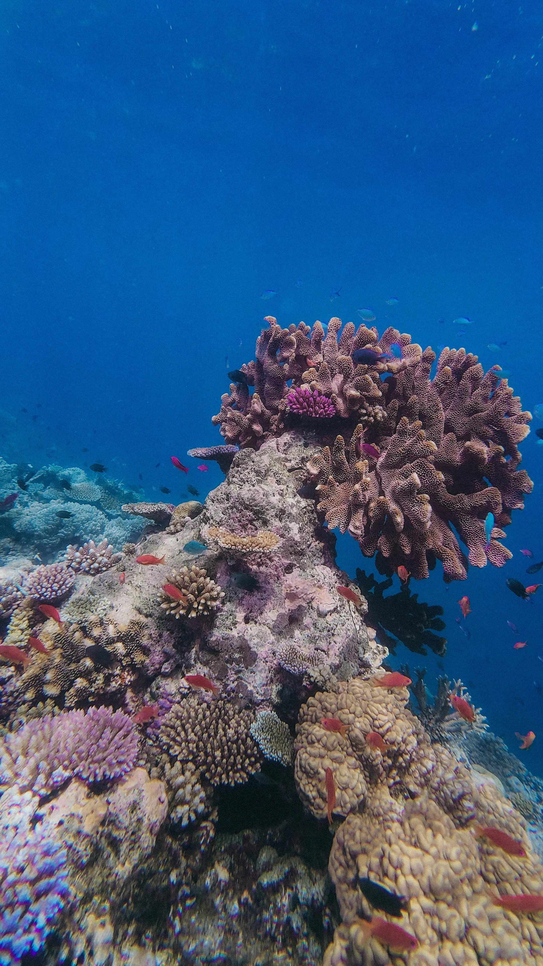 GPTempDownload 3.JPG