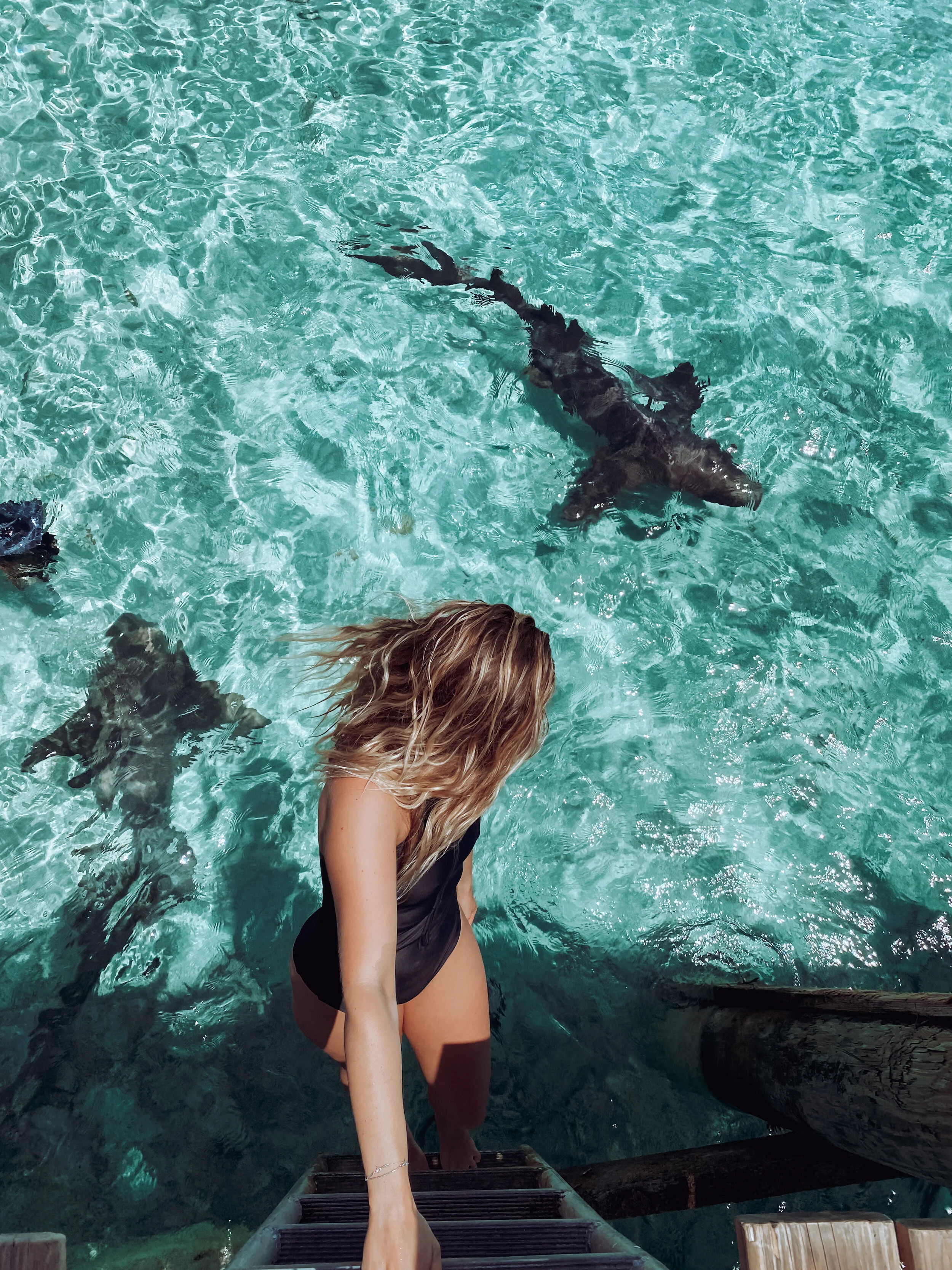 ≋ Life in Shades of Blue ≋ by Gabriella Gerbasi going for a swim with nurse sharks at staniel cay in the blue water of the bahamas wearing ocean soul bali sustainable swimwear