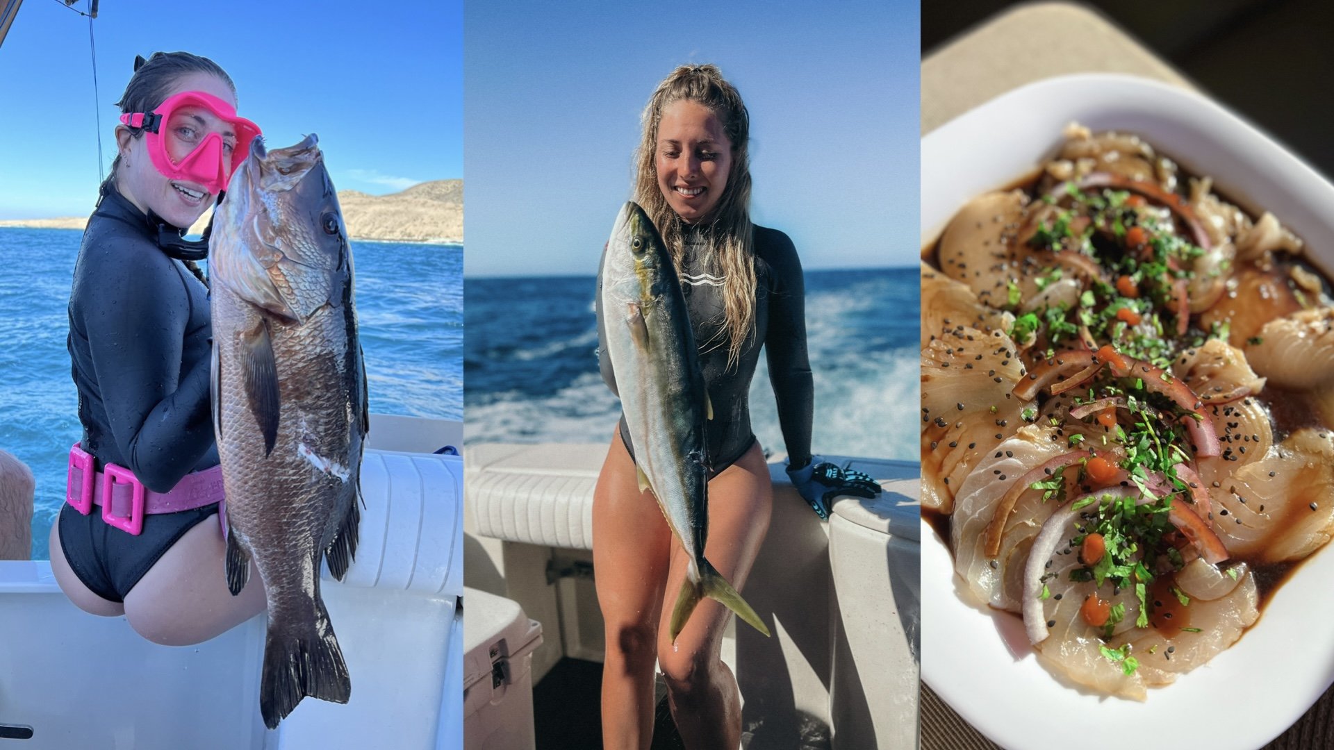 spearfishing — Gabriella Gerbasi  Blog — ≋ Life in Shades of Blue ≋