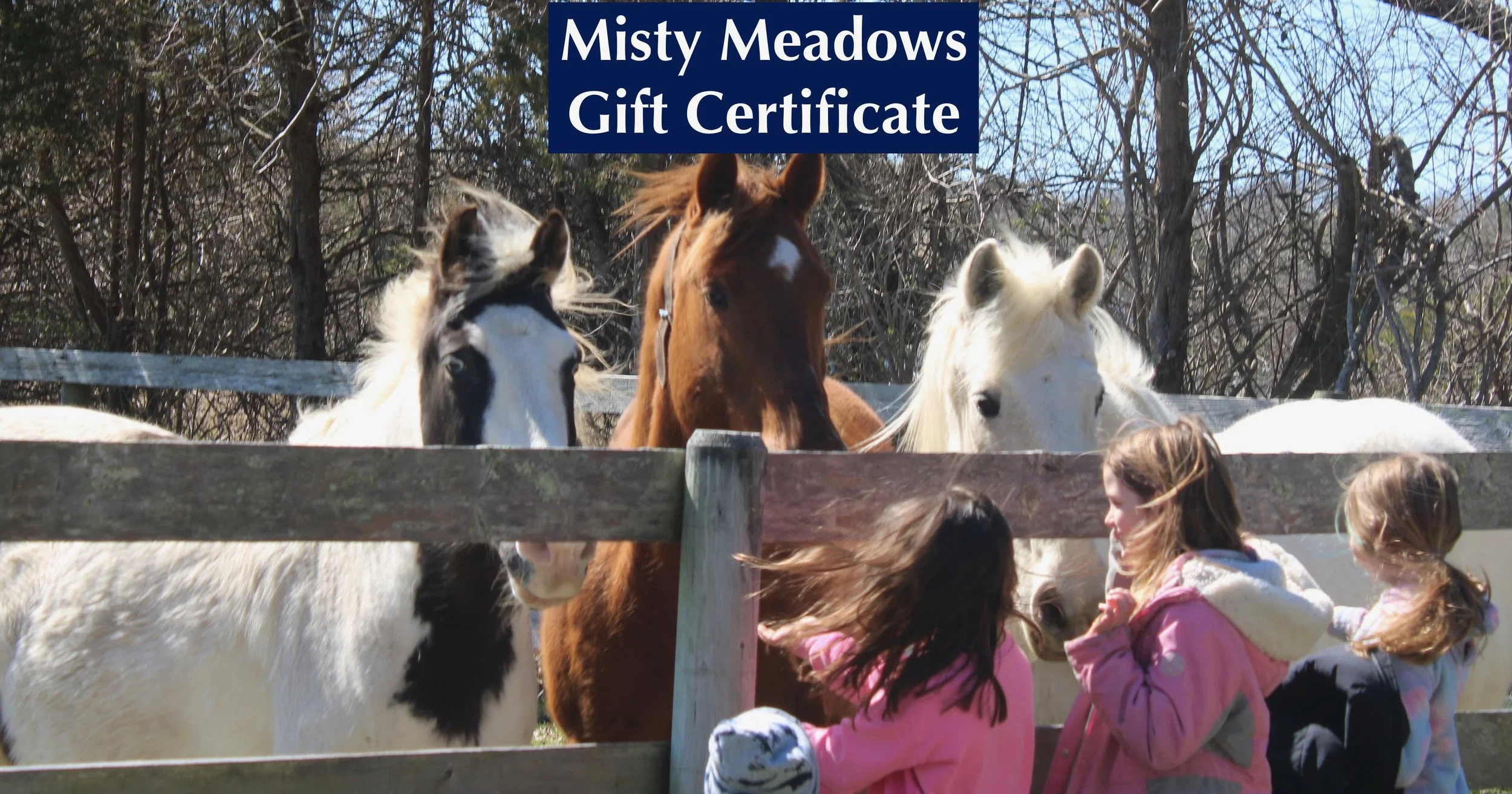 Misty Meadows Gift Certificate