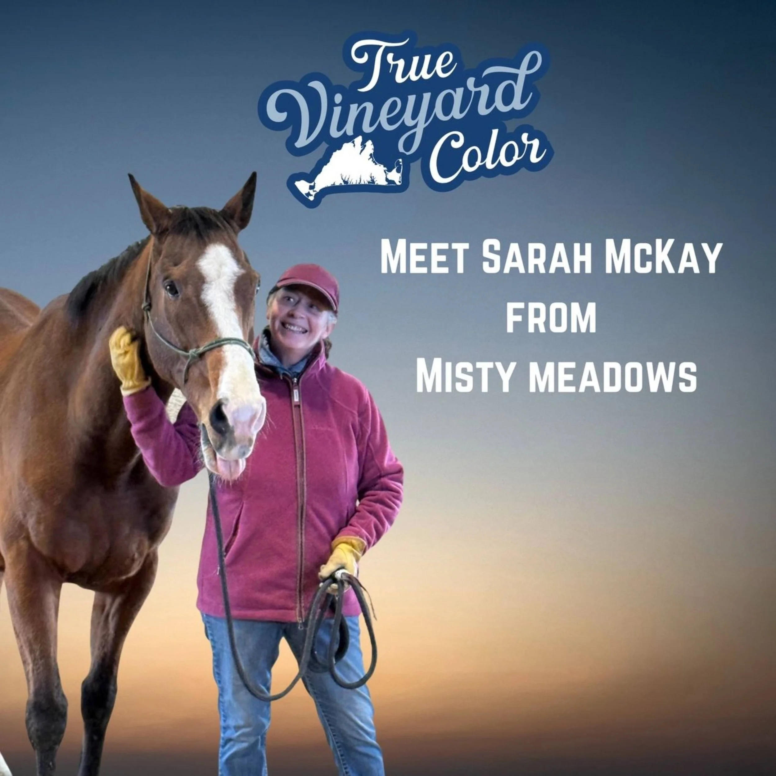 Meet Sarah McKay of Misty Meadows (True Vineyard Color Podcast)