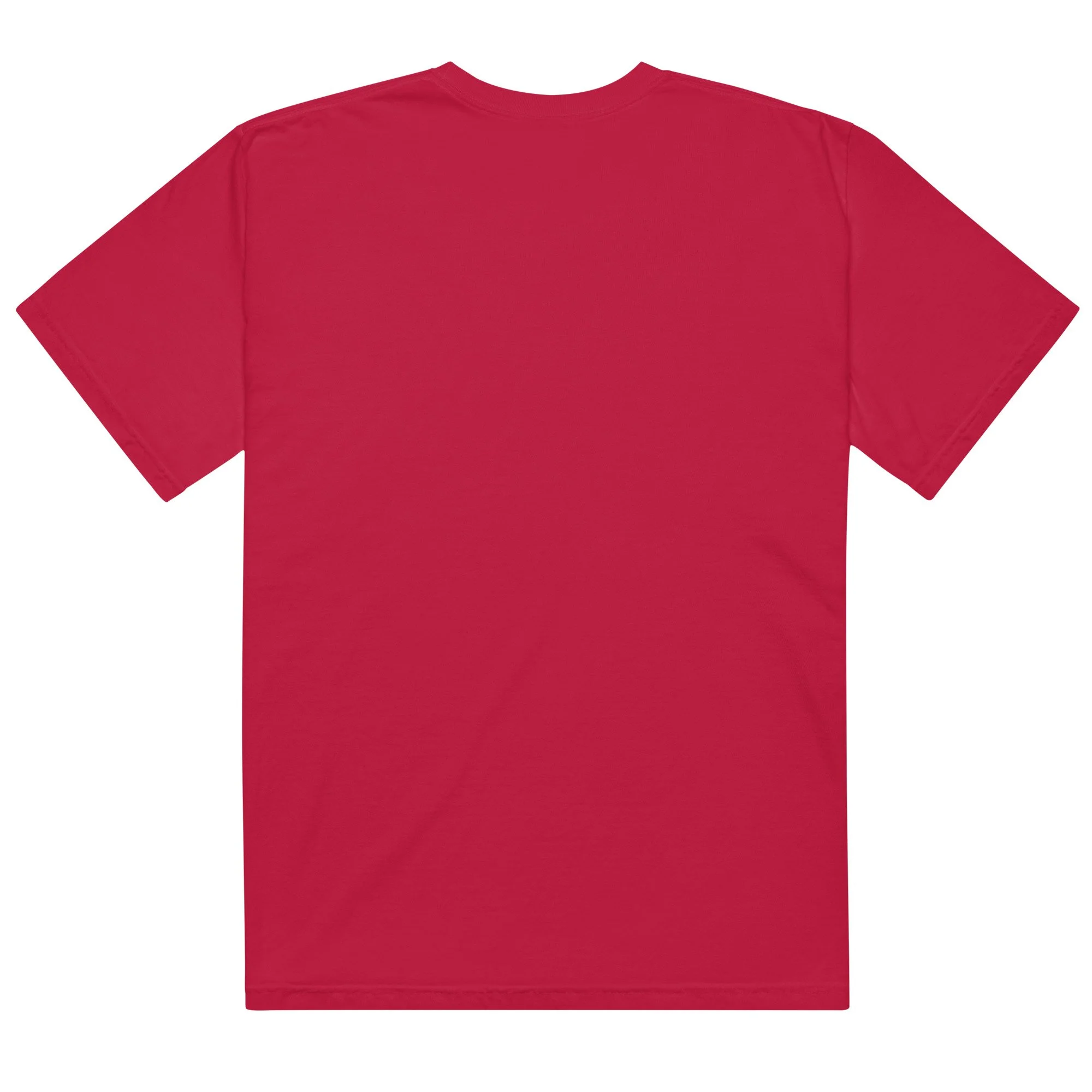 unisex-garment-dyed-heavyweight-t-shirt-red-back-698278a255e6f.jpg