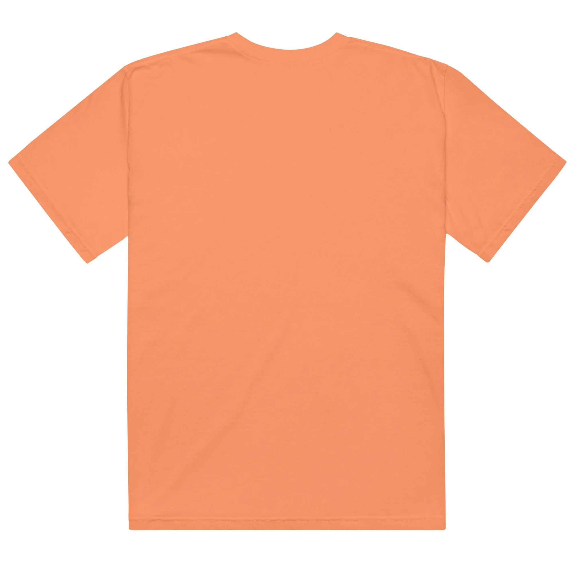 unisex-garment-dyed-heavyweight-t-shirt-terracotta-back-698278a2b3f87.jpg