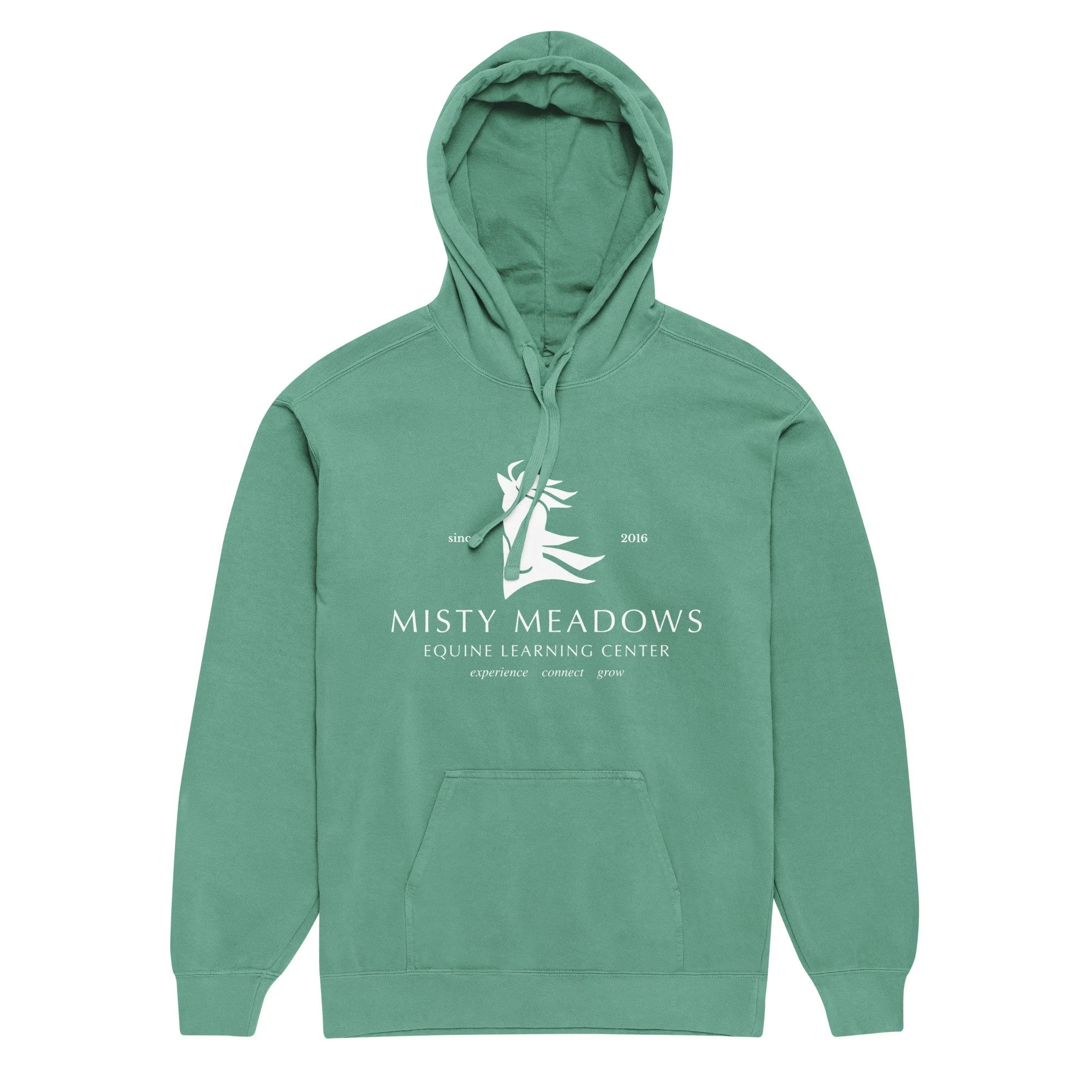 unisex-garment-dyed-hooded-sweatshirt-i-comfort-colors-1567-seafoam-front-698284ea63b53.jpg