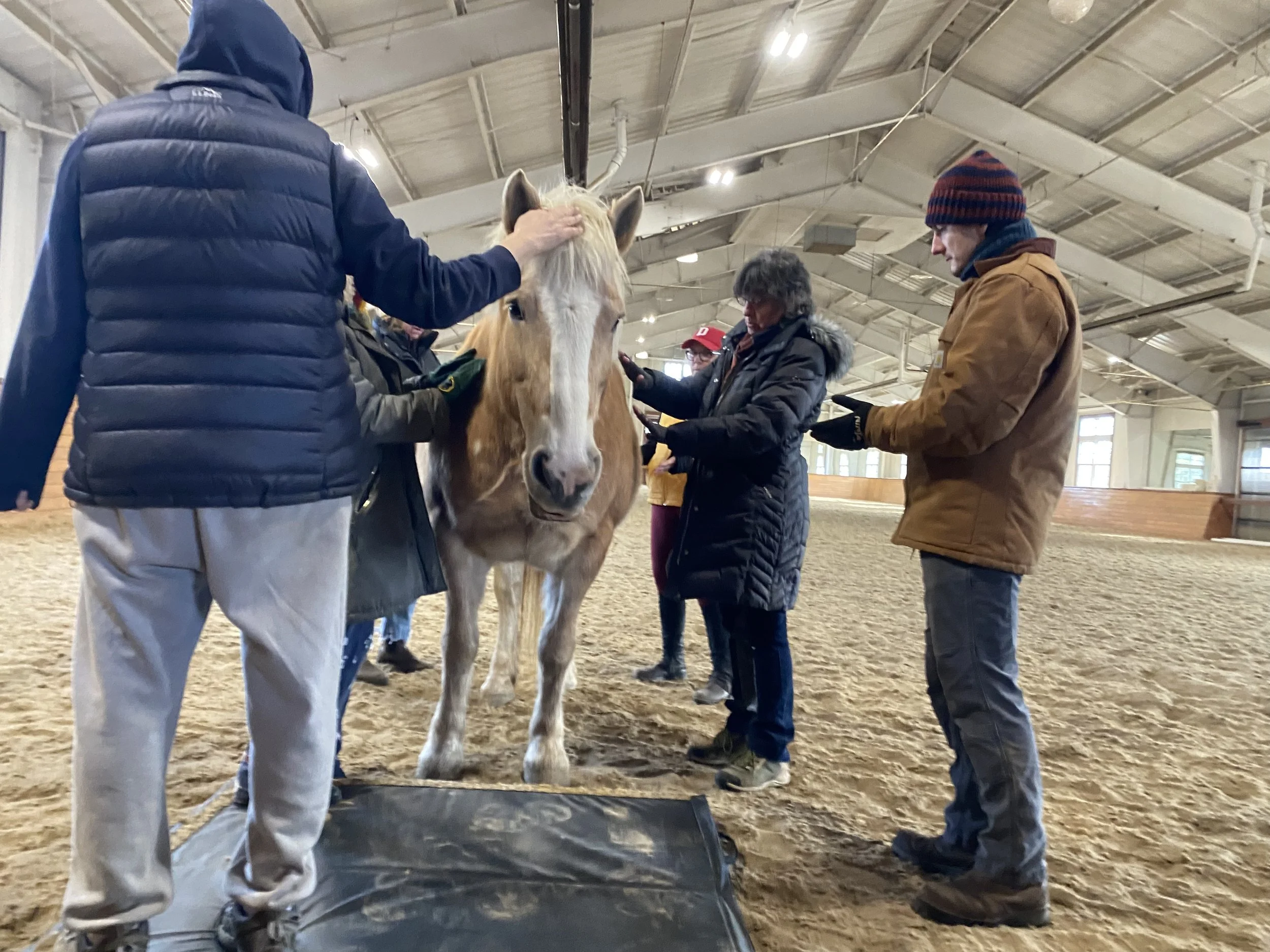 2025013015510310--771357556189414582 (1).jpg