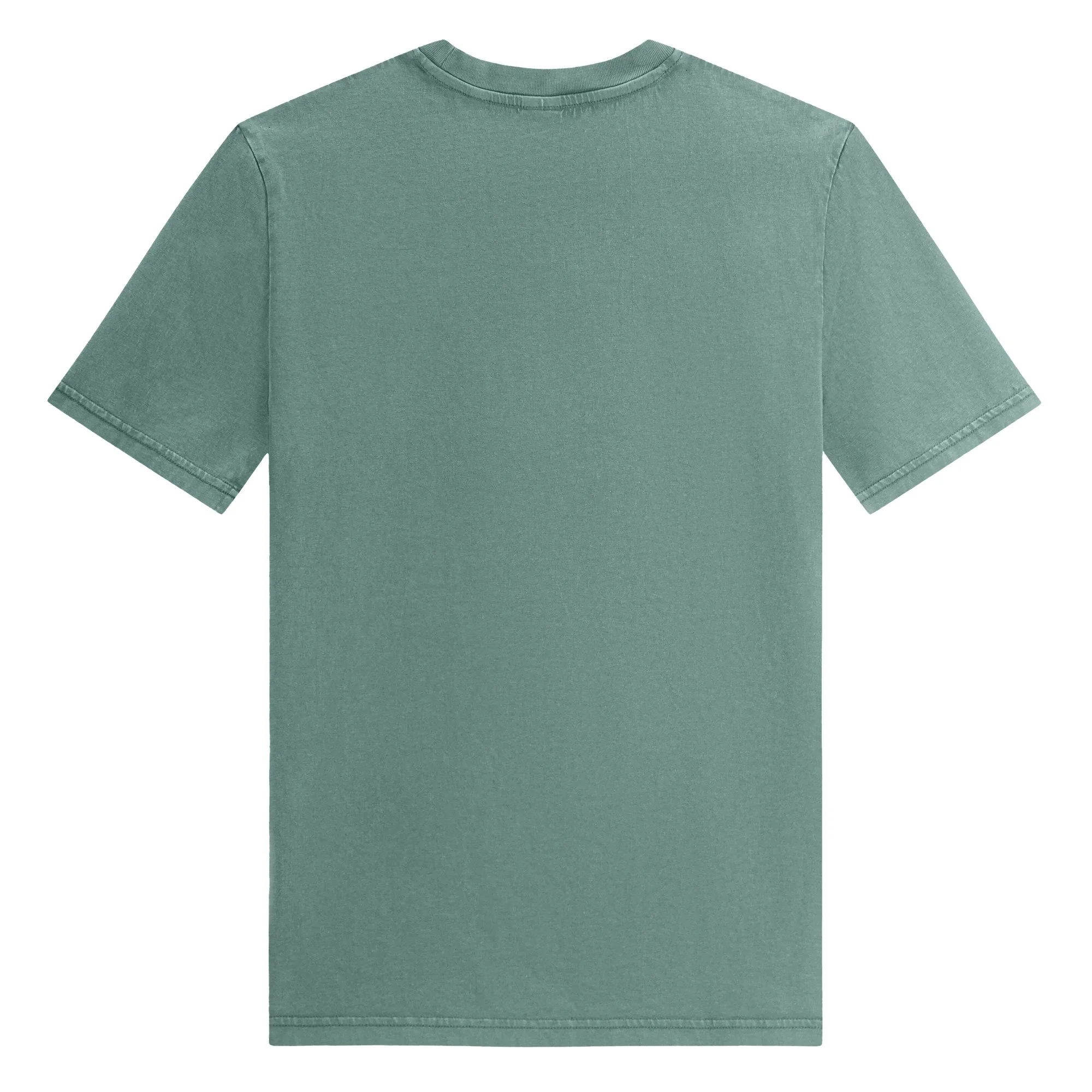 unisex-garment-dyed-creator-2.0-vintage-t-shirt-g.-dyed-green-bay-back-69ac58800298a.jpg