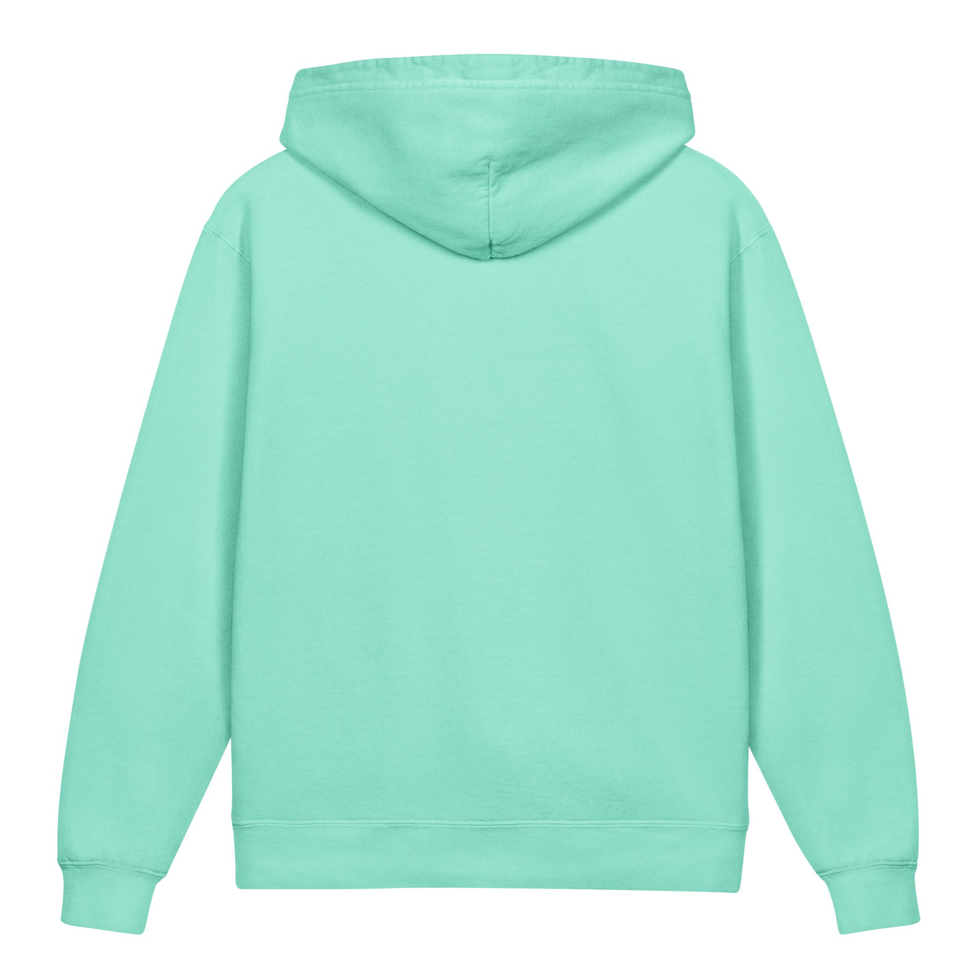 youth-garment-dyed-lightweight-hooded-sweatshirt-chalky-mint-back-69ac5928801ff.jpg