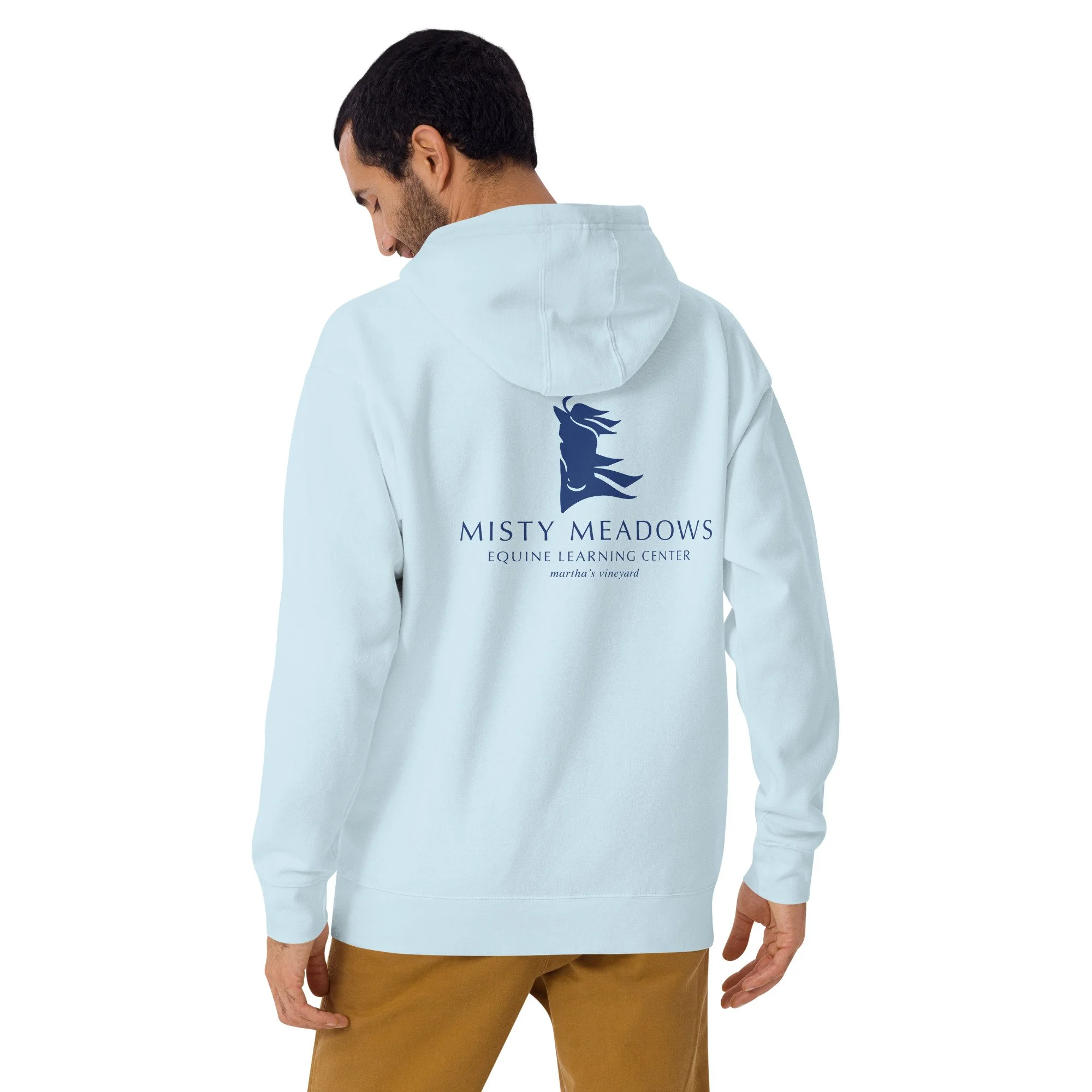cotton-heritage-m2580-i-unisex-premium-pullover-hoodie-sky-blue-back-69ac5c930fa6e.jpg
