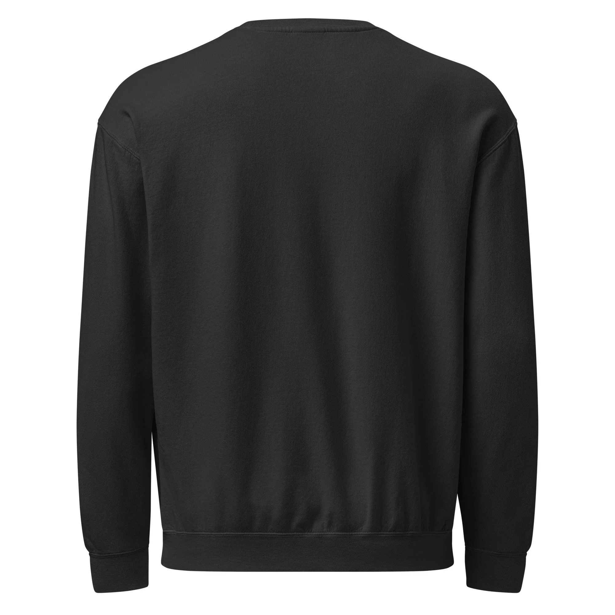 rment-dyed-lightweight-fleece-crewneck-sweatshirt-i-comfort-colors-1466-black-back-69b56e1ae9bd3.jpg