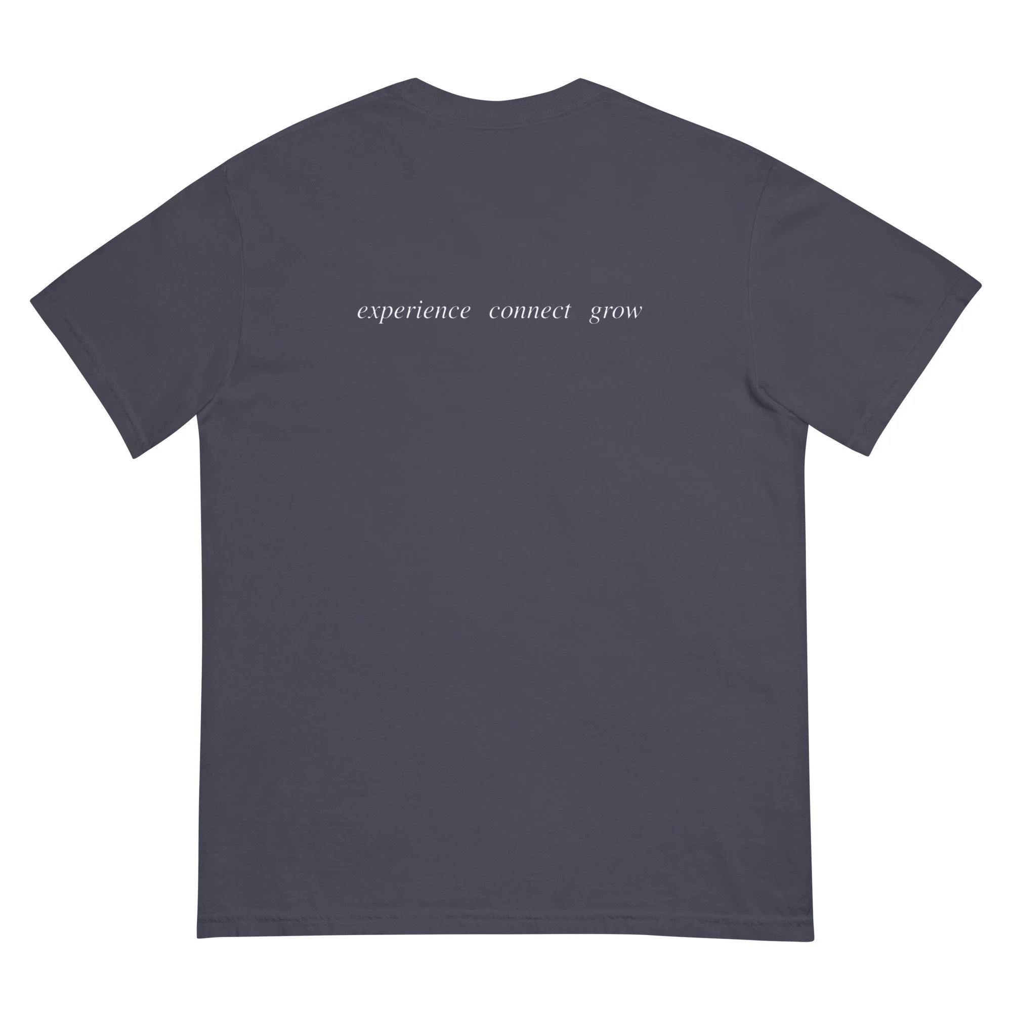 unisex-garment-dyed-heavyweight-t-shirt-navy-back-69ceb769eb8fb.jpg