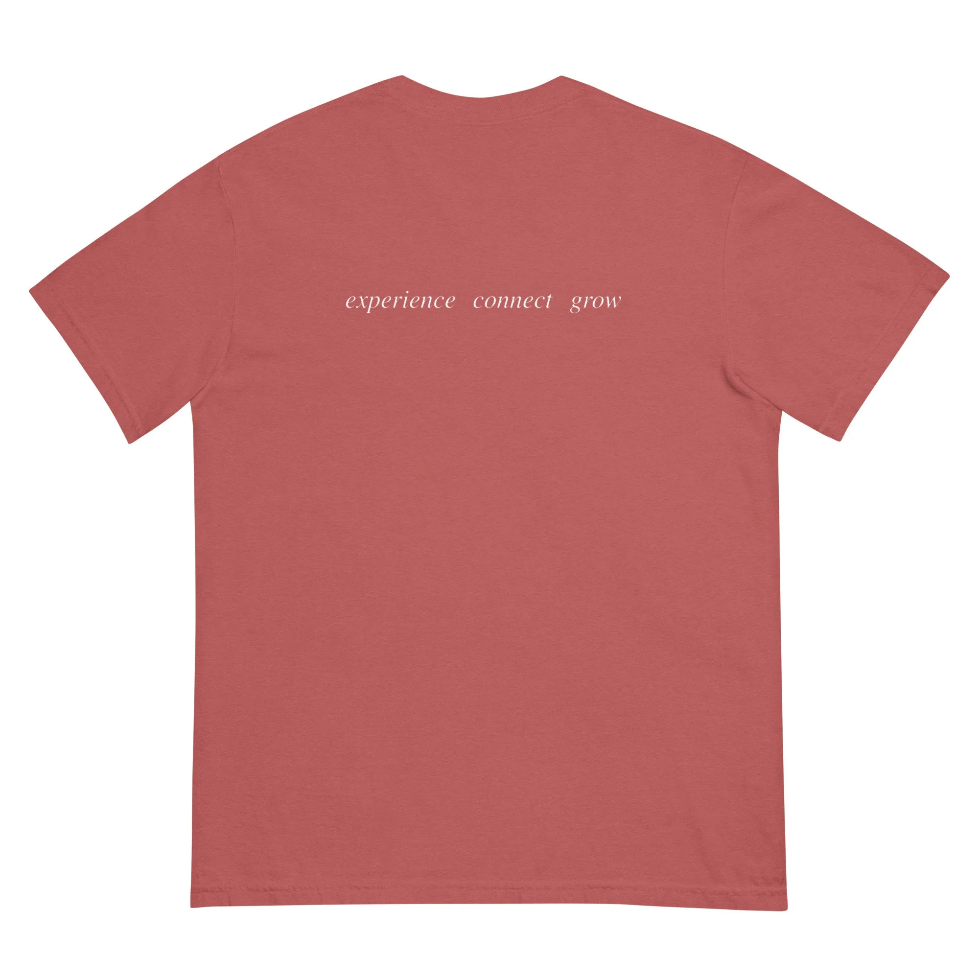 unisex-garment-dyed-heavyweight-t-shirt-crimson-back-69ceb76a10008.jpg