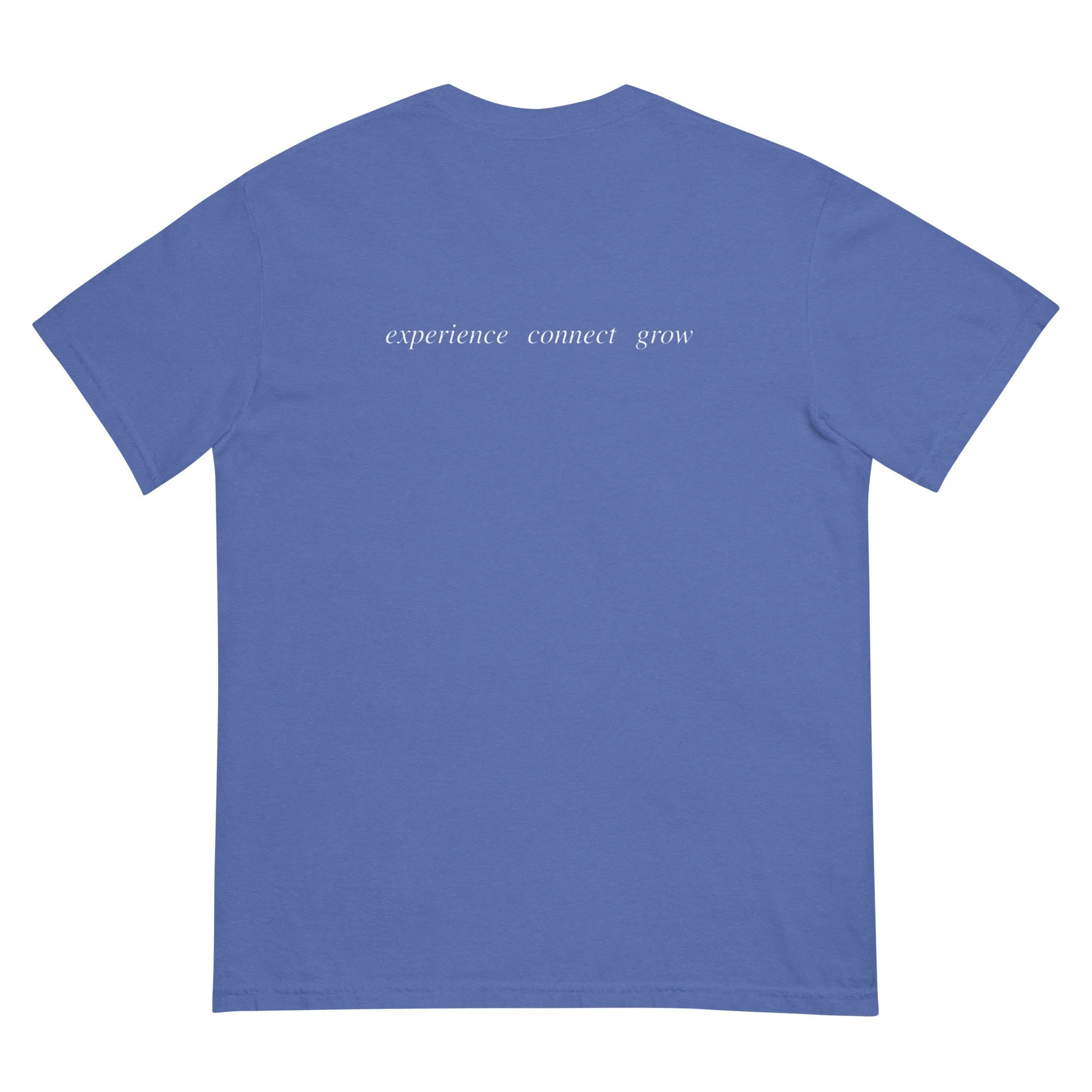 unisex-garment-dyed-heavyweight-t-shirt-mystic-blue-back-69ceb76a1ada7.jpg