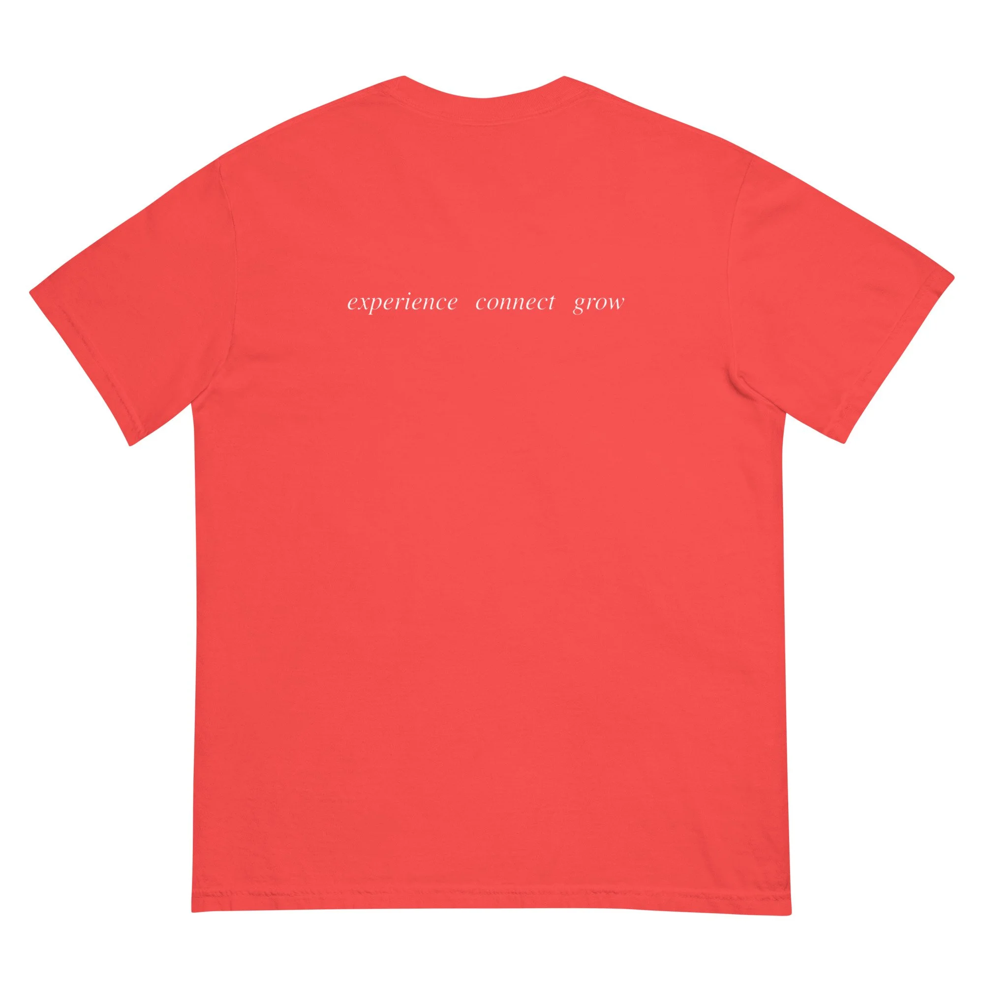 unisex-garment-dyed-heavyweight-t-shirt-paprika-back-69ceb76a365e3.jpg