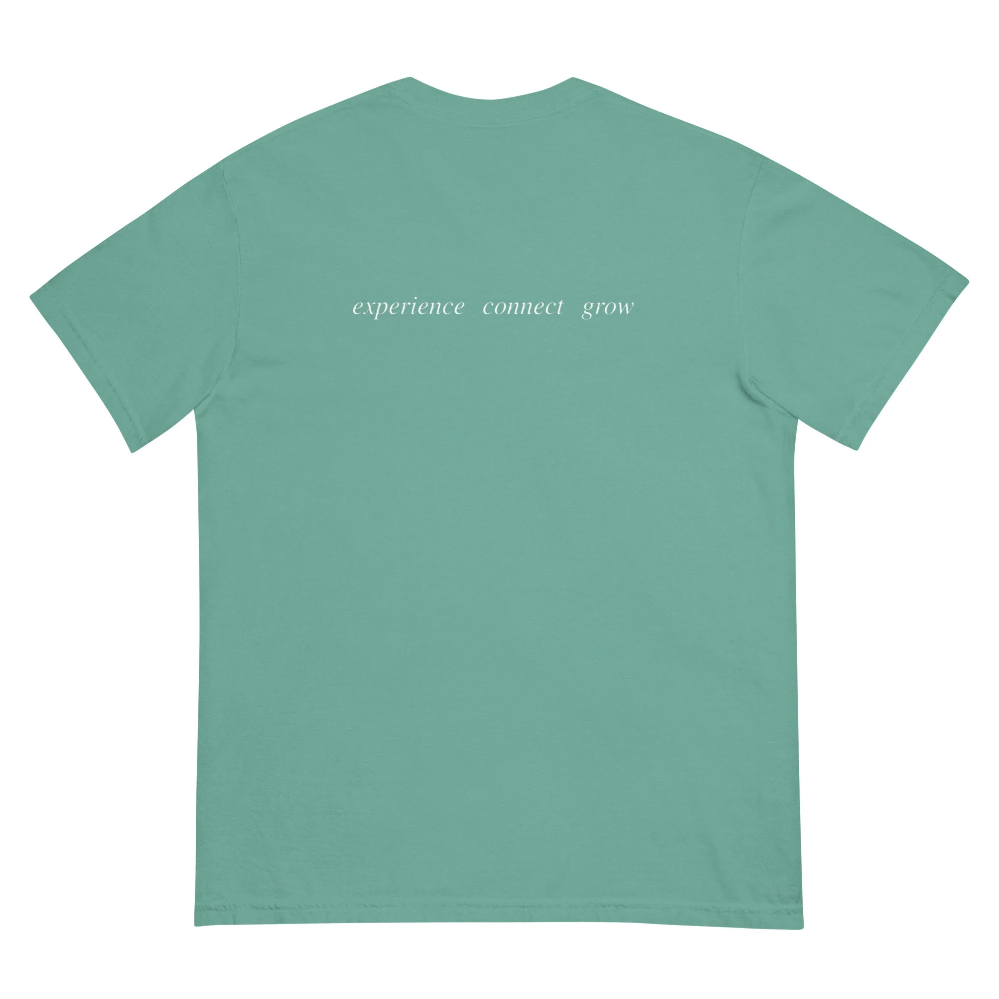 unisex-garment-dyed-heavyweight-t-shirt-seafoam-back-69ceb76a56f74.jpg