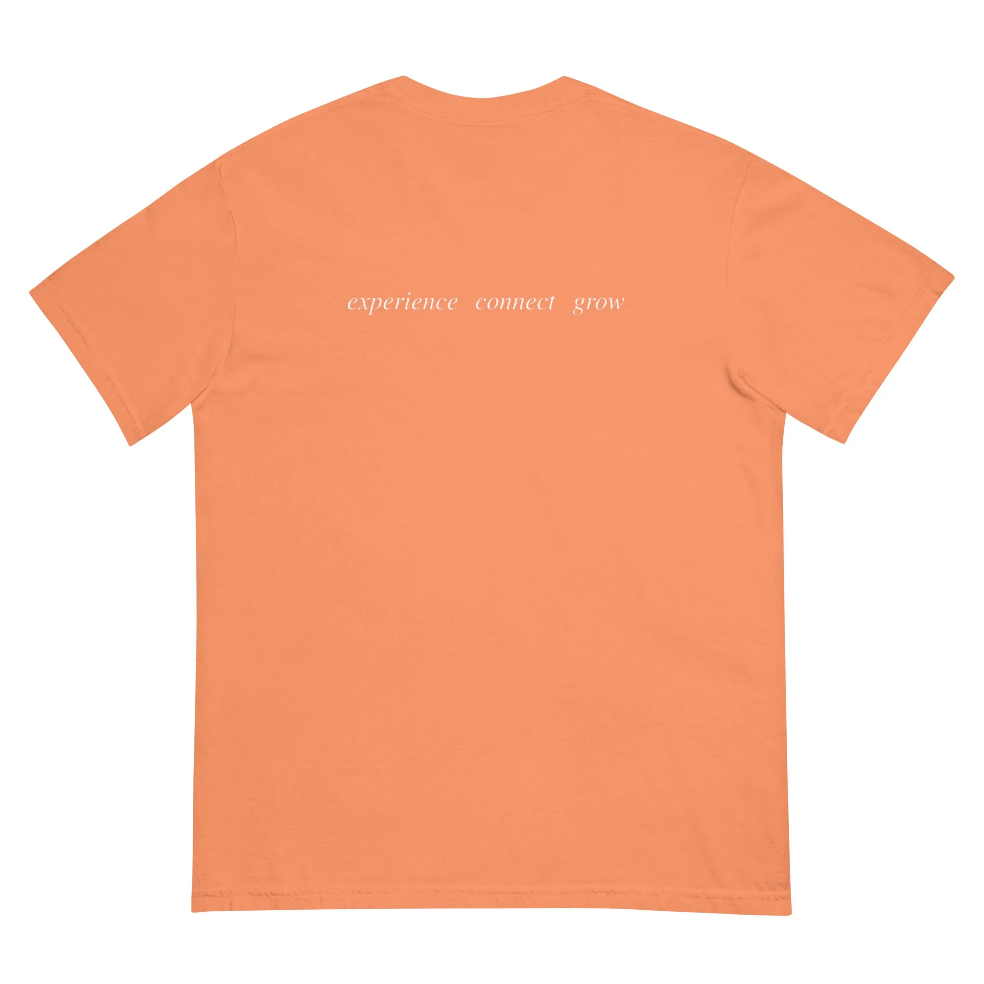 unisex-garment-dyed-heavyweight-t-shirt-terracotta-back-69ceb76a6ead0.jpg