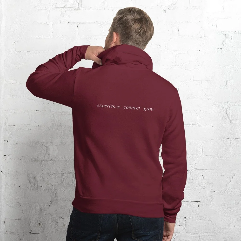 unisex-pullover-hoodie-maroon-back-69d699bc680a2.jpg