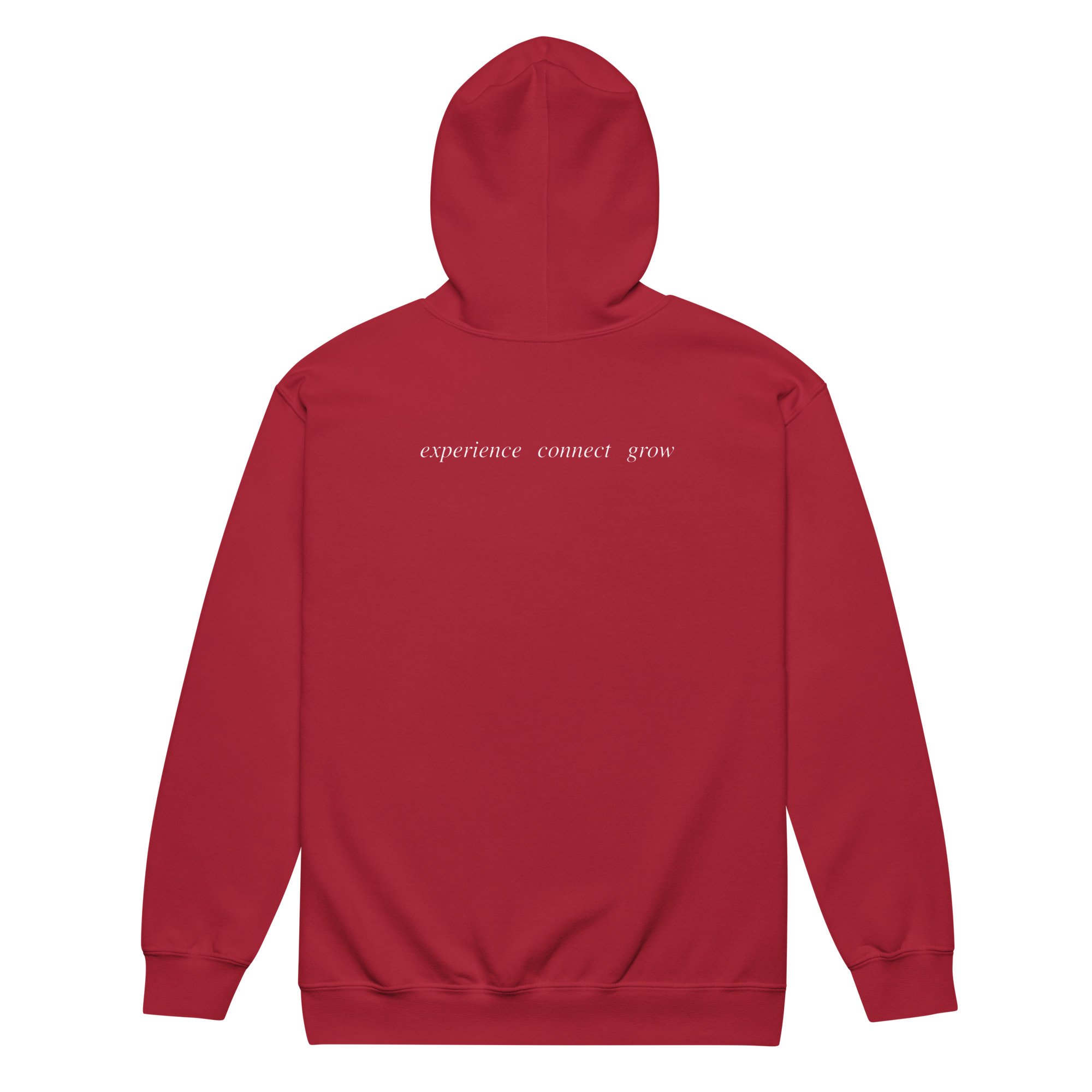 unisex-heavy-blend-zip-hoodie-cardinal-red-back-69da6b1b22630.jpg