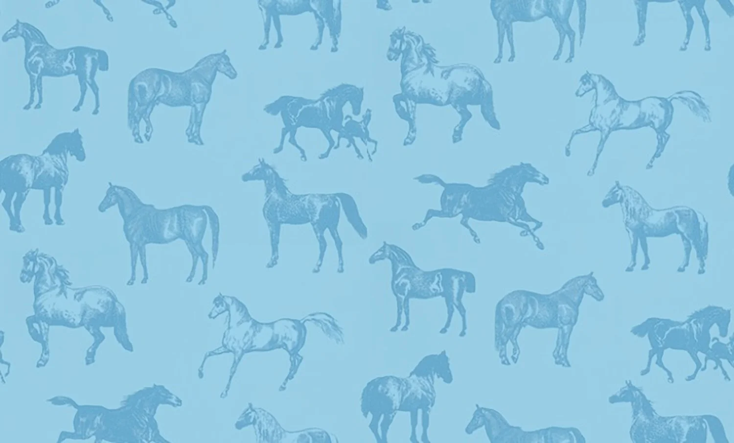 Horse pattern.jpg