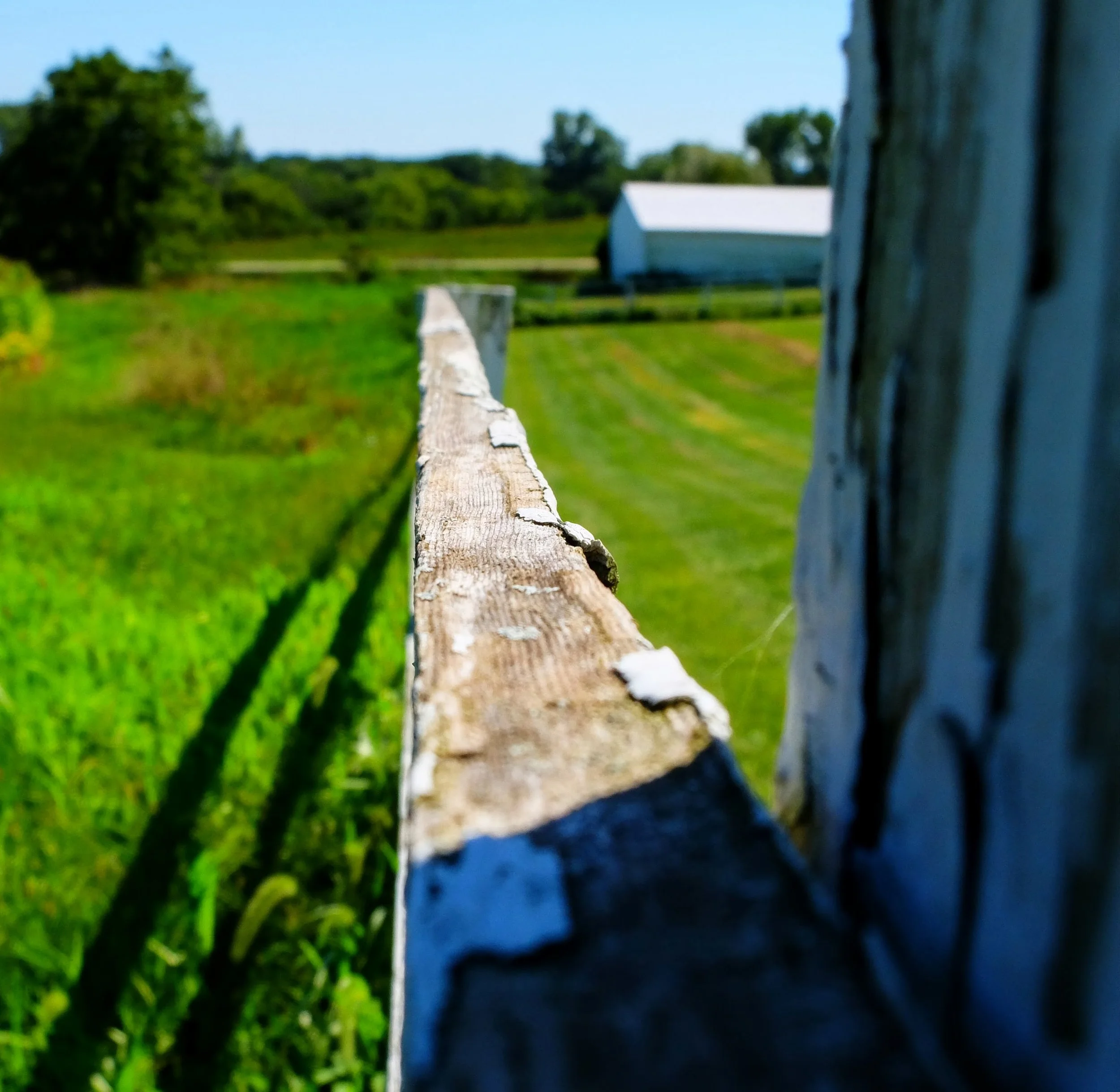 DSCF3868.jpg