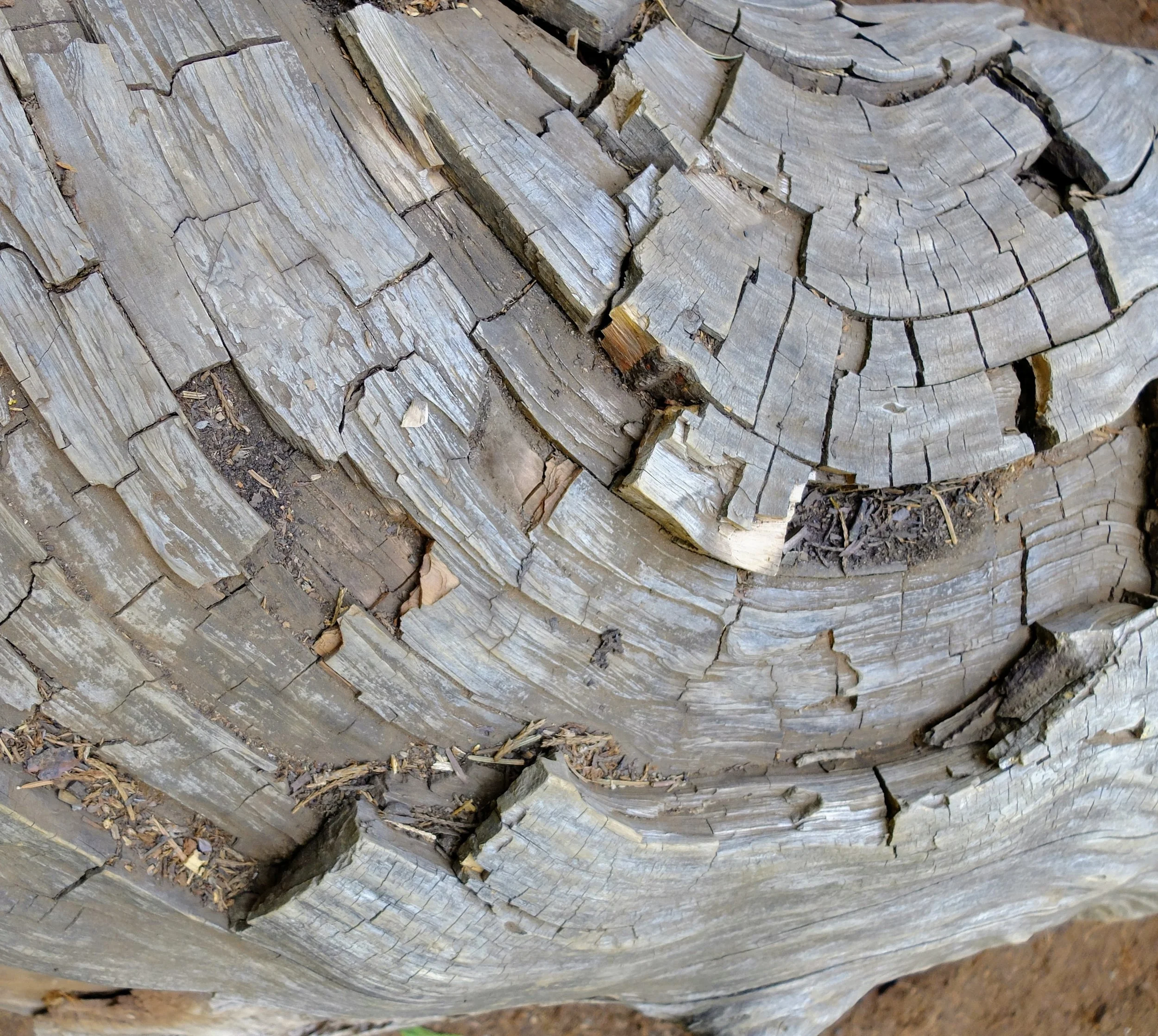 DSCF1118.jpg