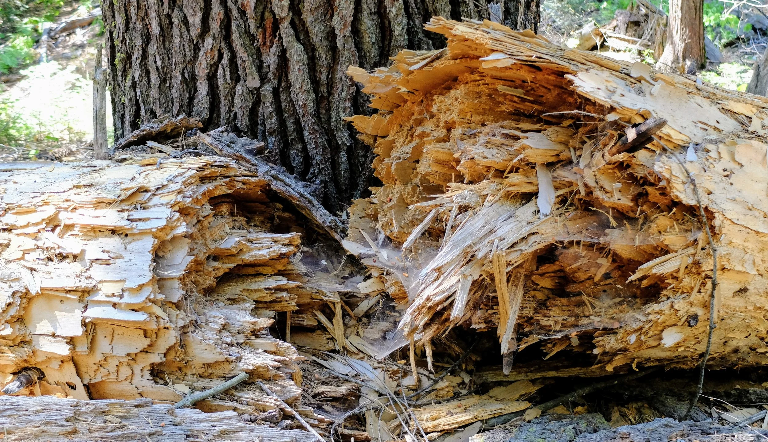 DSCF1291.jpg