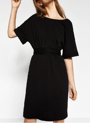 Zara Dress 1.png