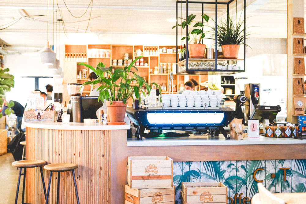 Coffee & Coconuts || Amsterdam