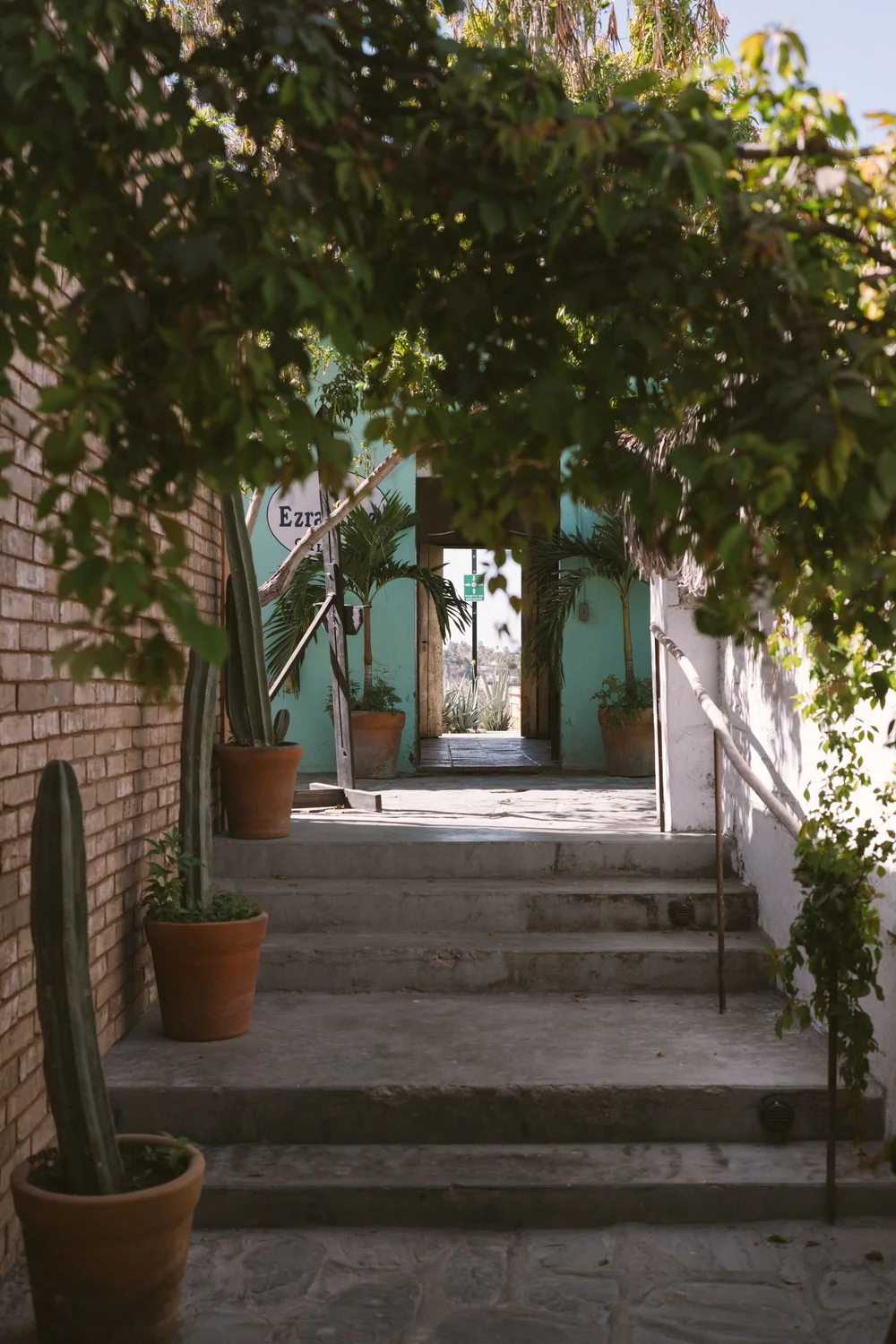 Christmas 2023-5.jpeg