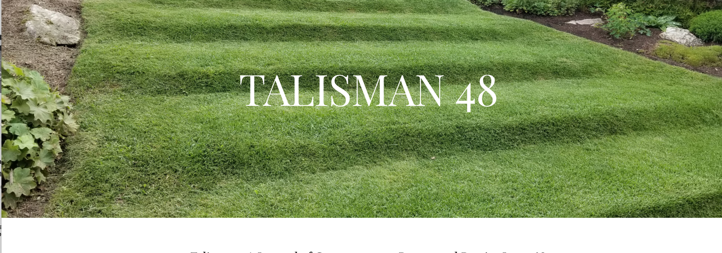 TALISMAN48 Screen Shot 2020-01-23 at 11.57.15 AM.png