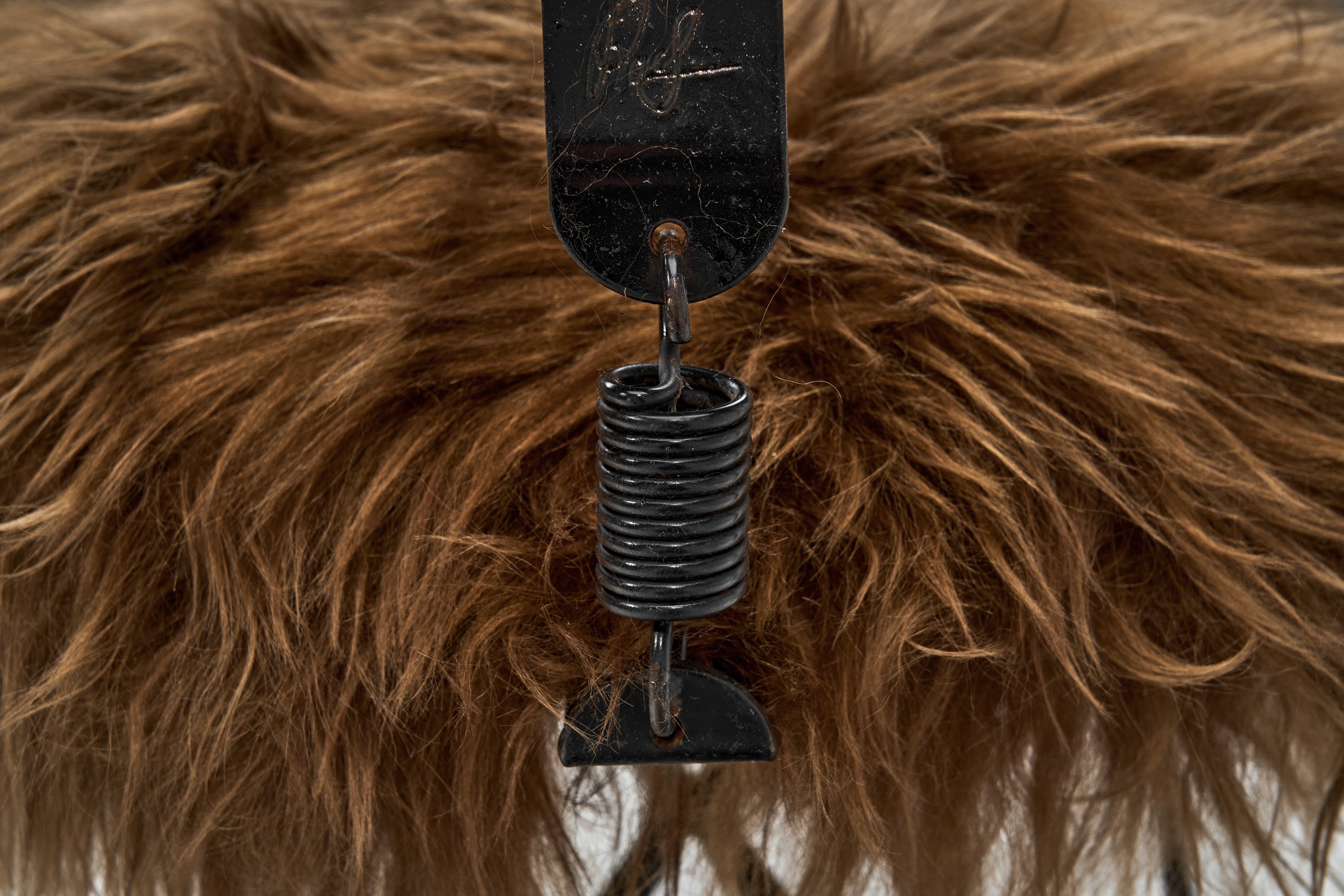 DSC06007 Details.jpg