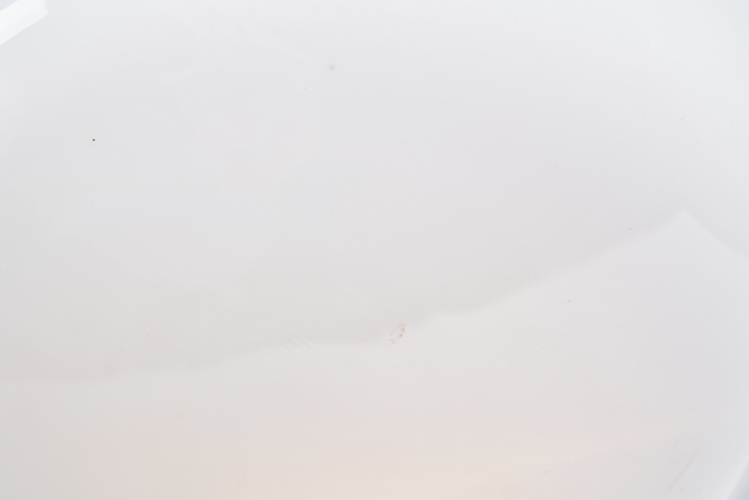DSC03024_Details.jpg