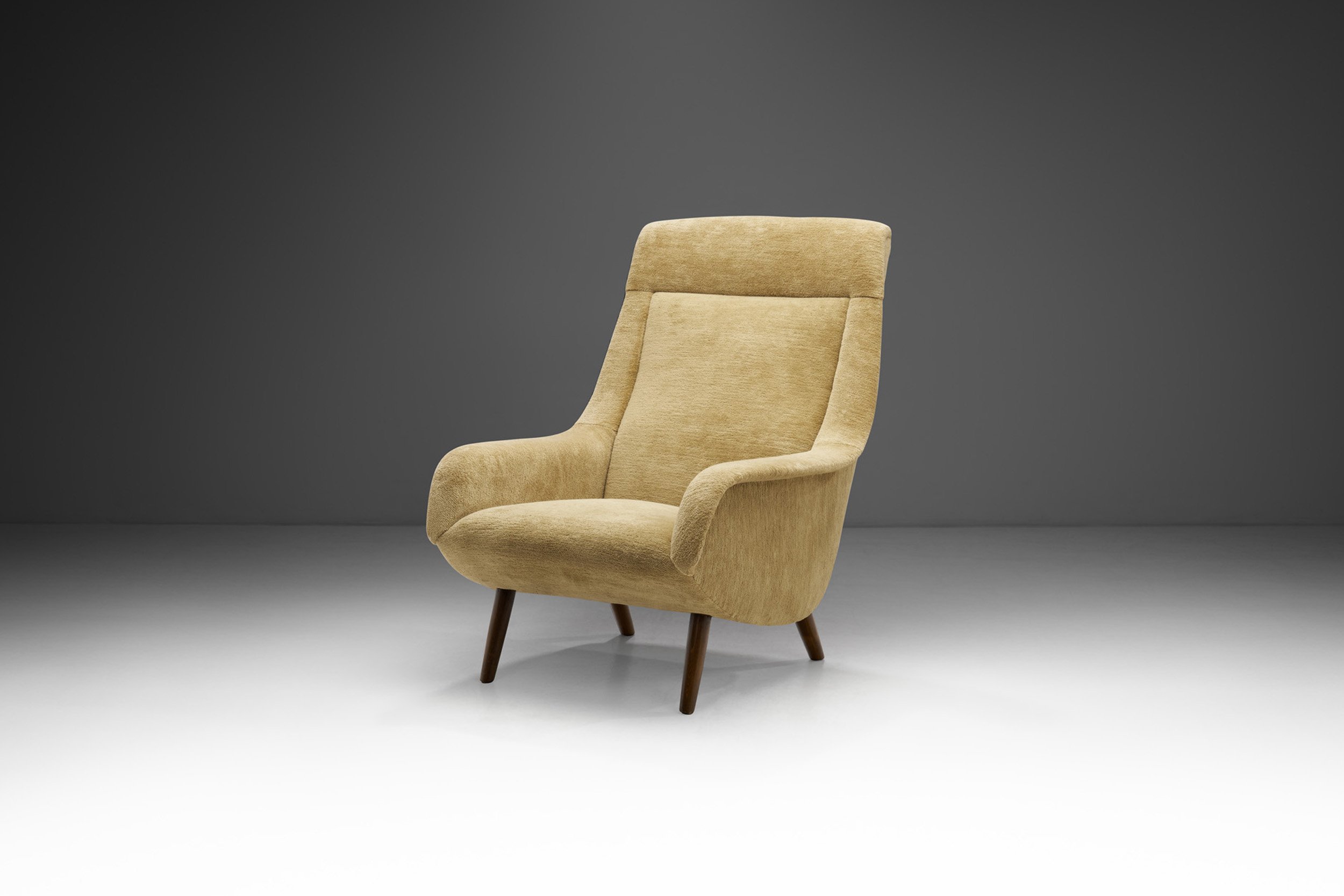European Mid-Century Modern Lounge Chair with Beech Wood Legs, Europe 1960s
