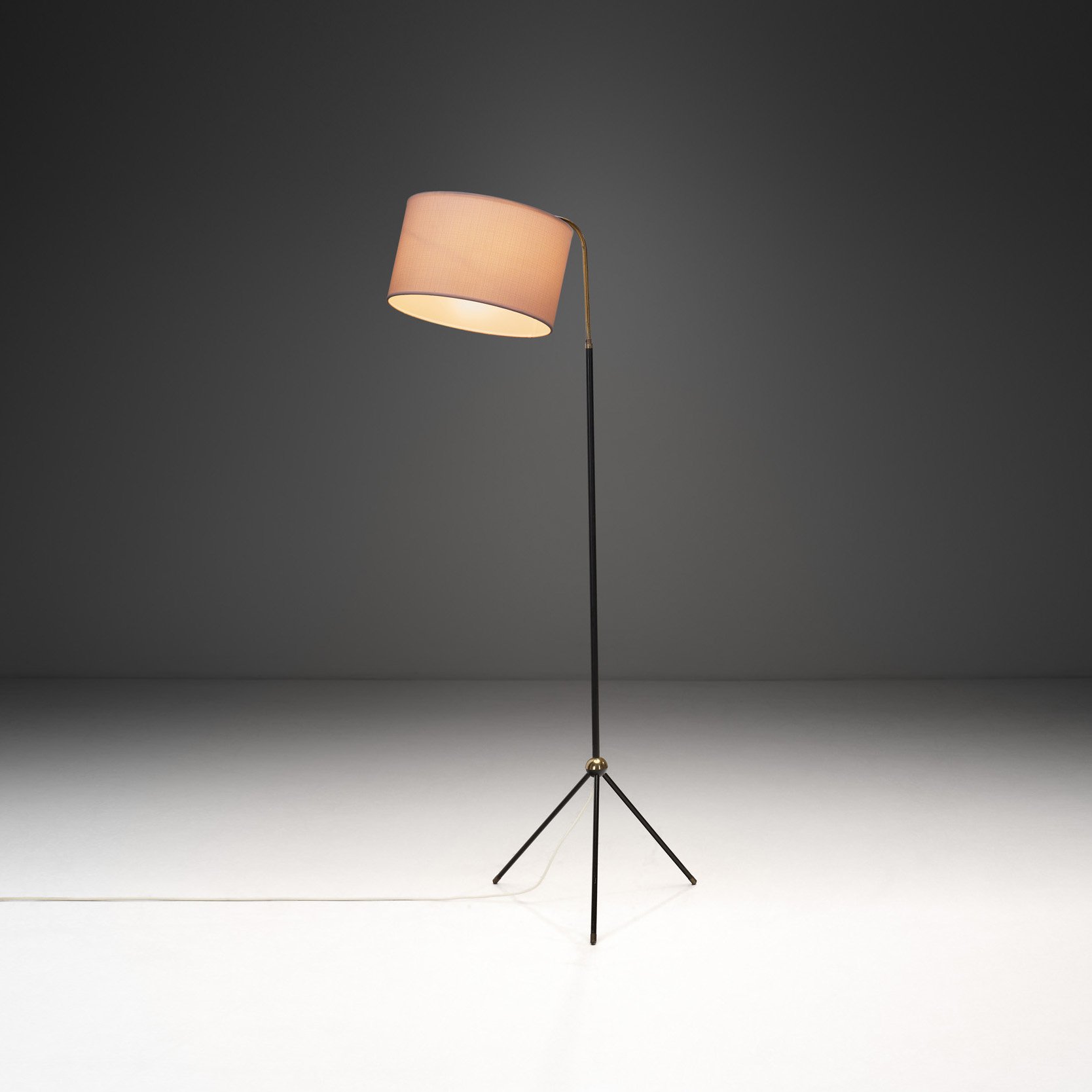 Brass and Black Steel Floor Lamp with Tripod Base, France 1950s