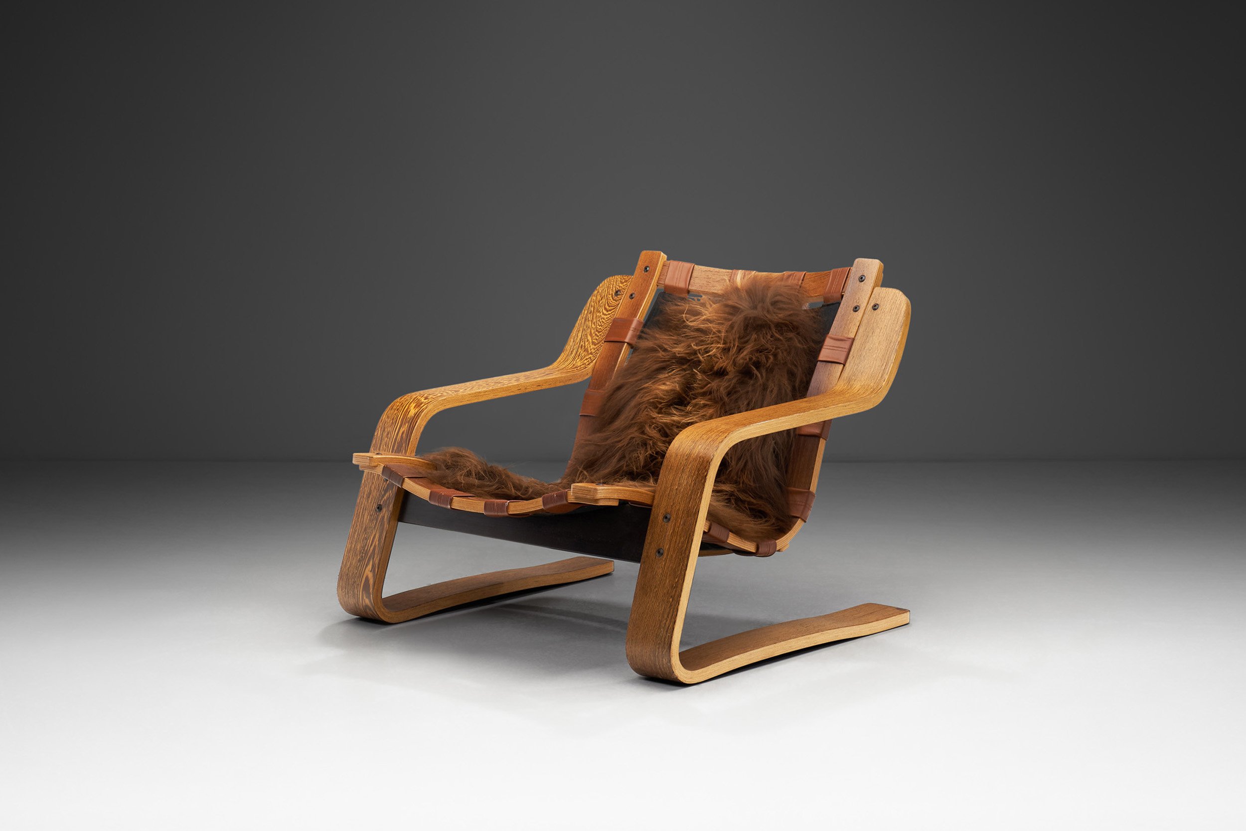 Sculptural Zebrano Plywood Lounge Chair, The Netherlands 1970s